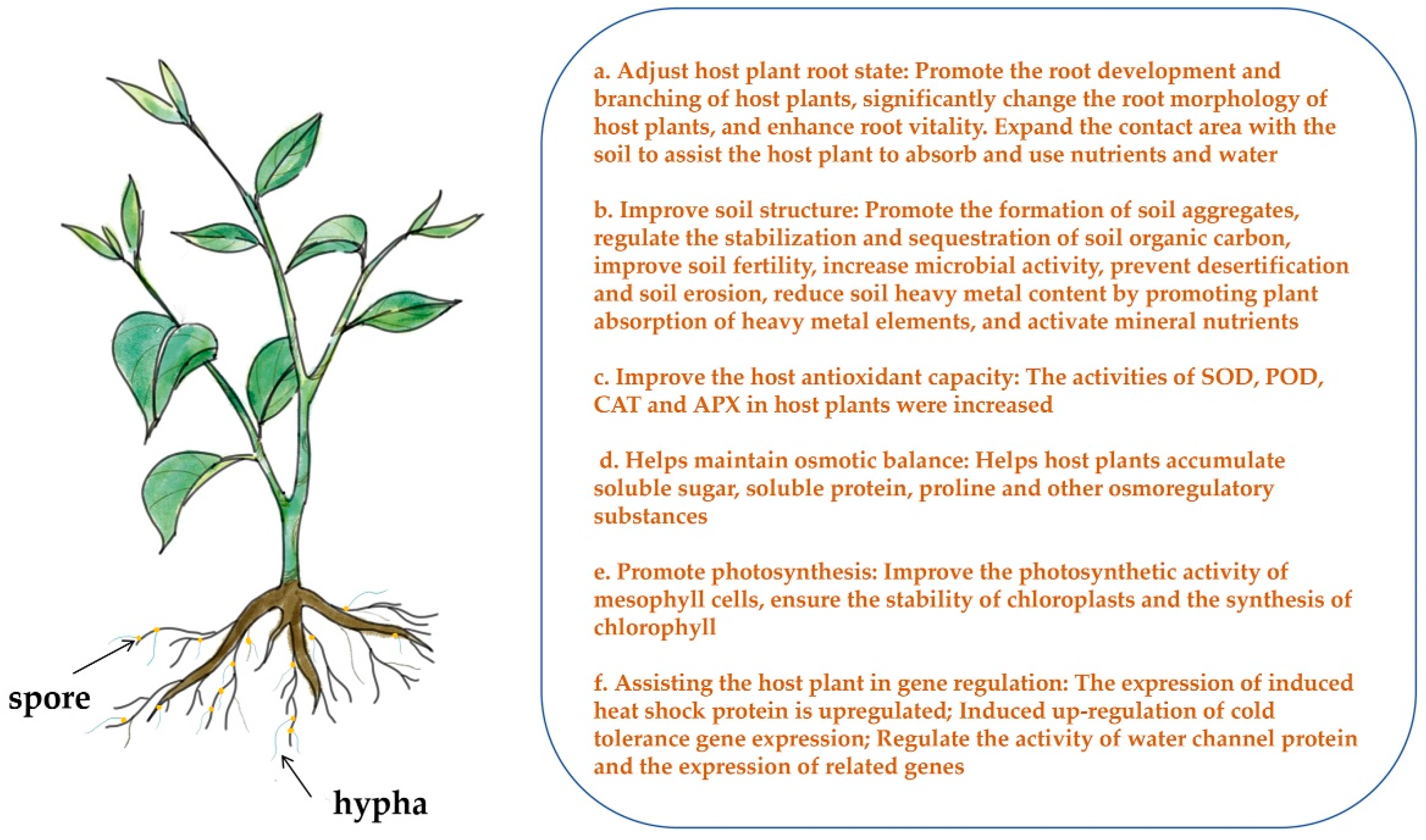 Horticulturae 10 00855 g001