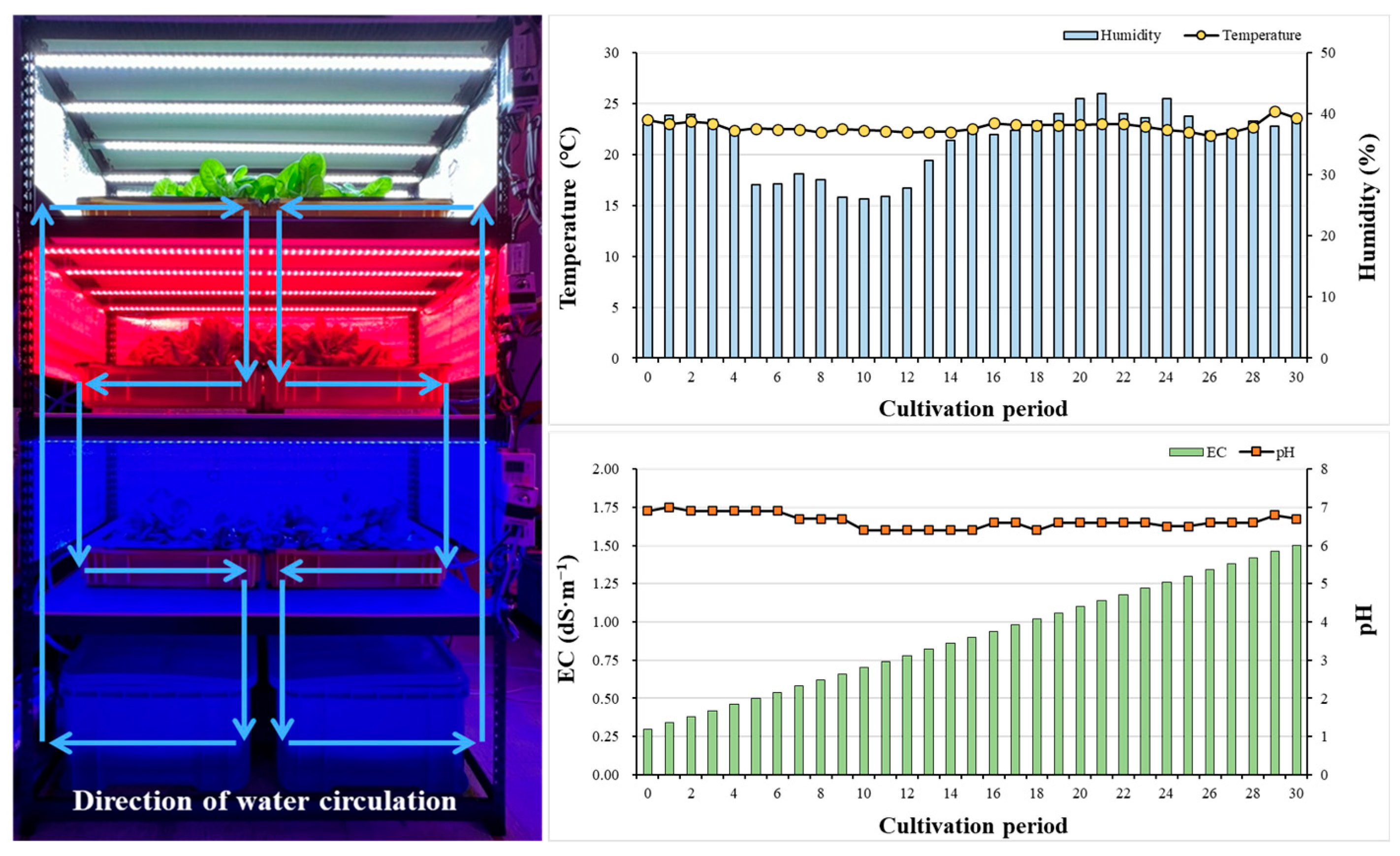 Horticulturae 10 00860 g001