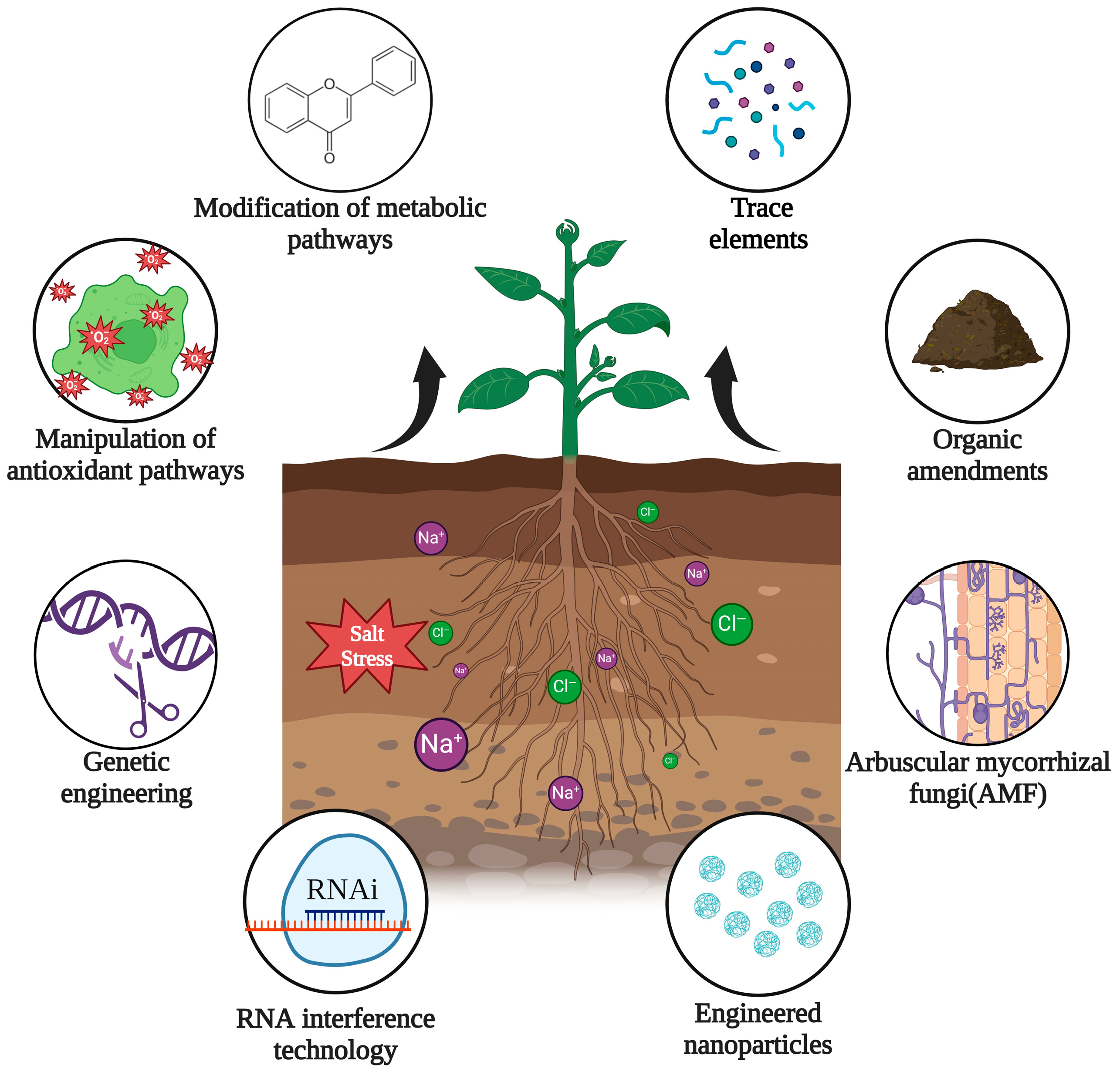 Horticulturae 10 00878 g001