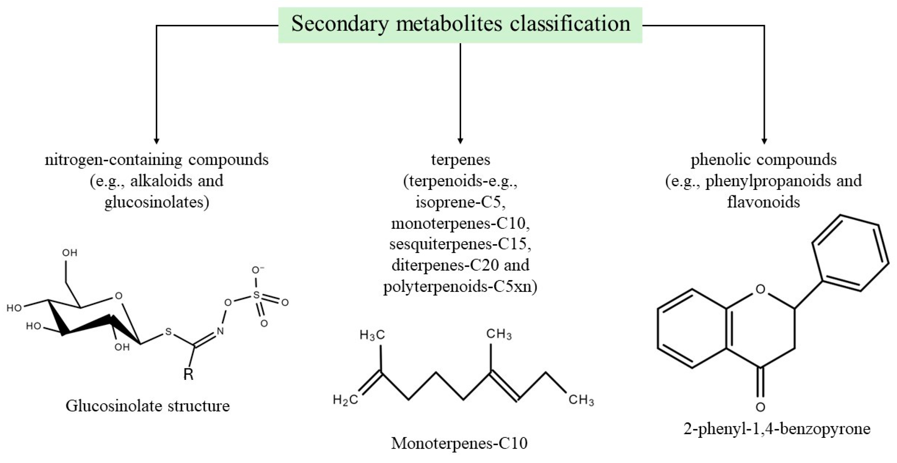 Horticulturae 10 00878 g002