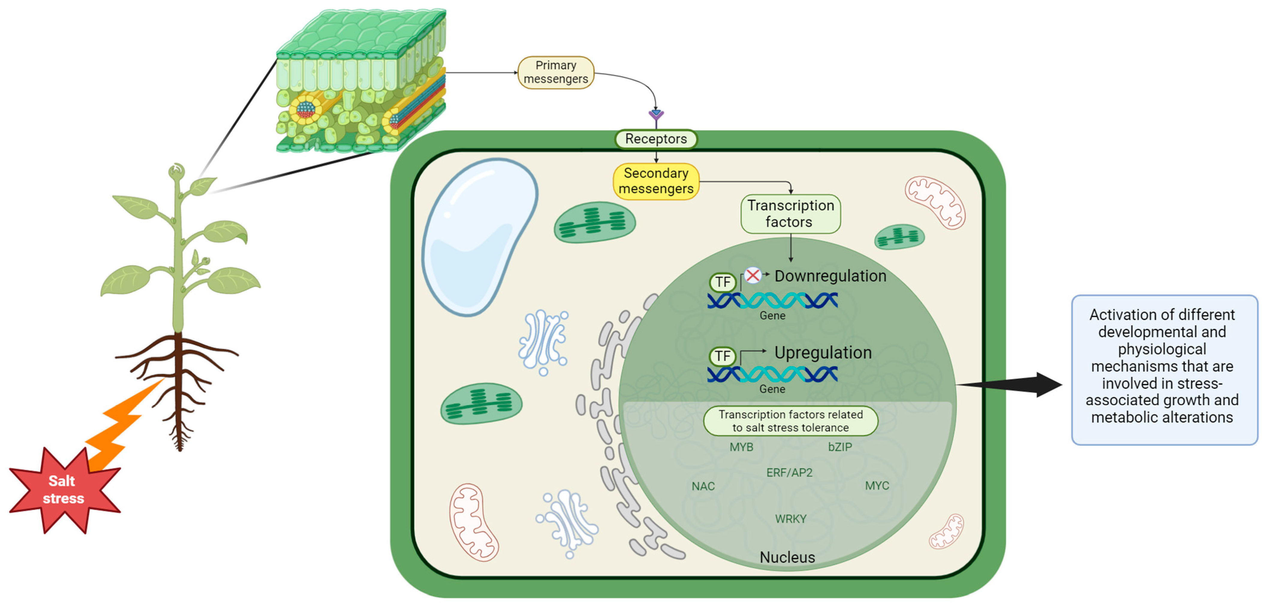 Horticulturae 10 00878 g004