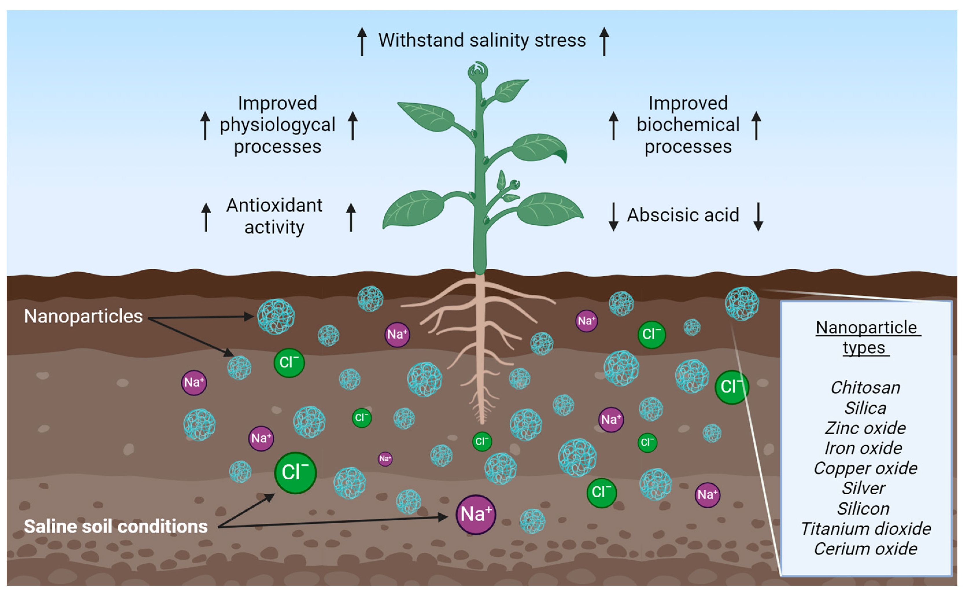 Horticulturae 10 00878 g006