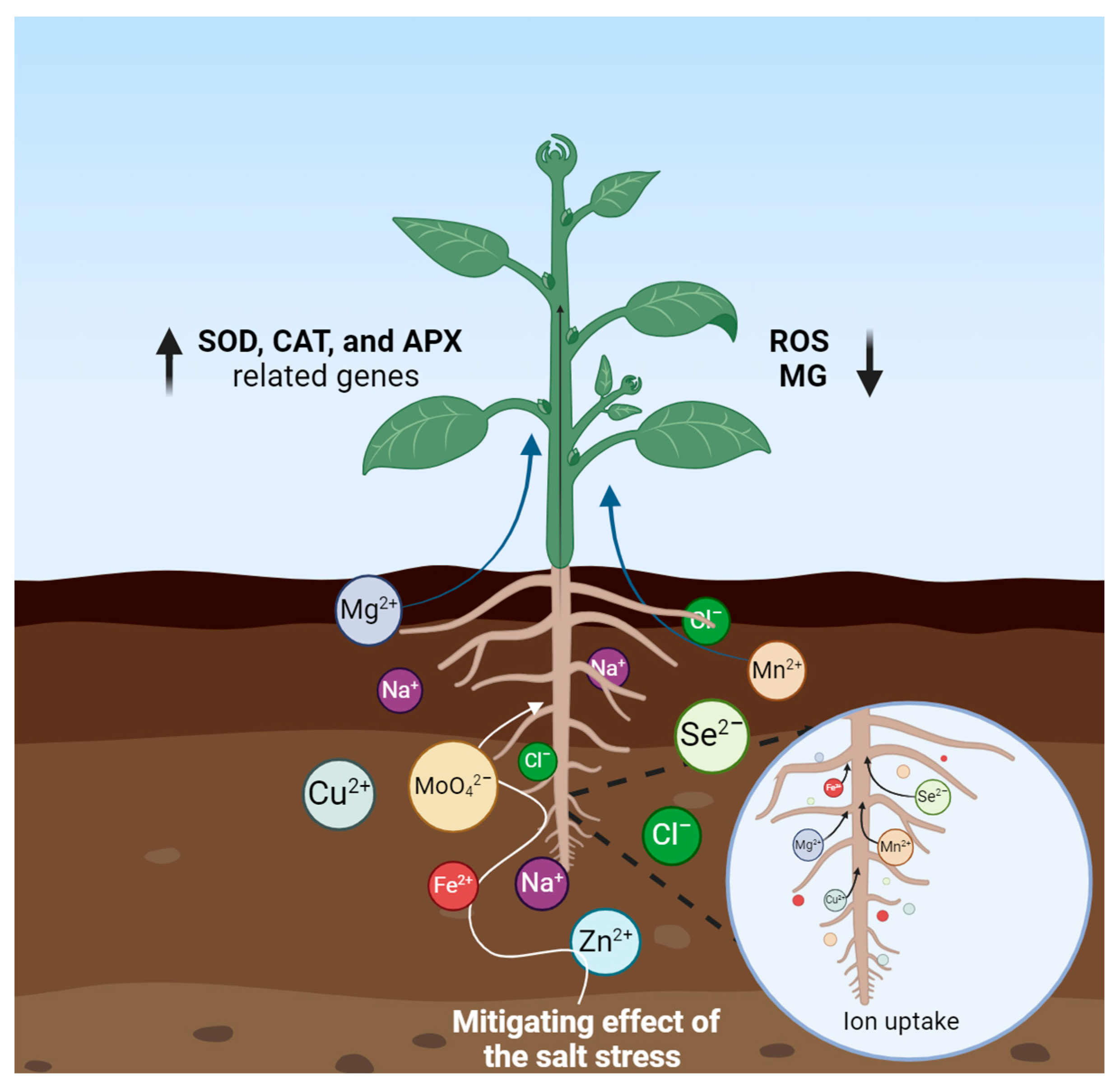 Horticulturae 10 00878 g009