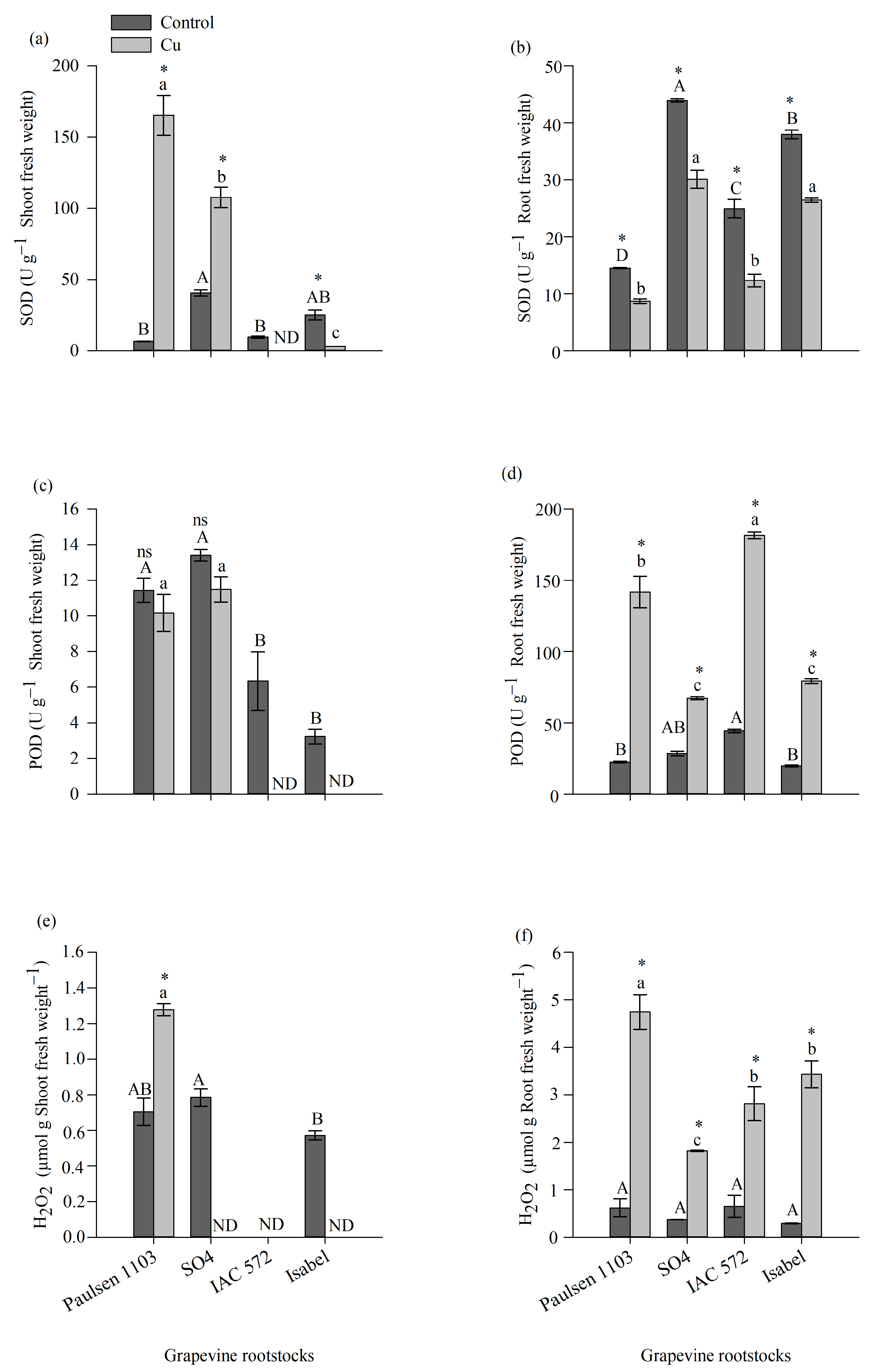 Horticulturae 10 00883 g005