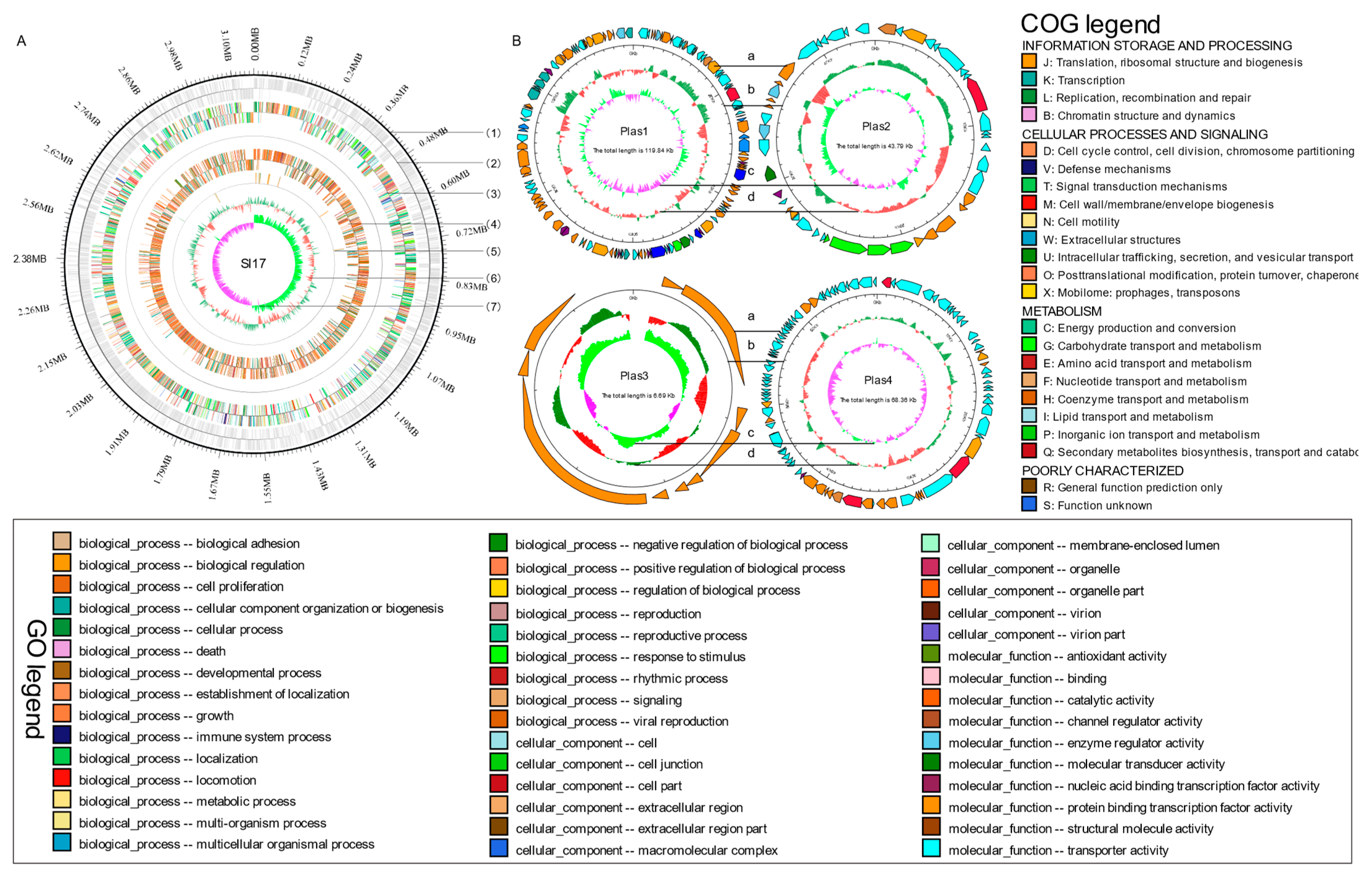 Horticulturae 10 00888 g001