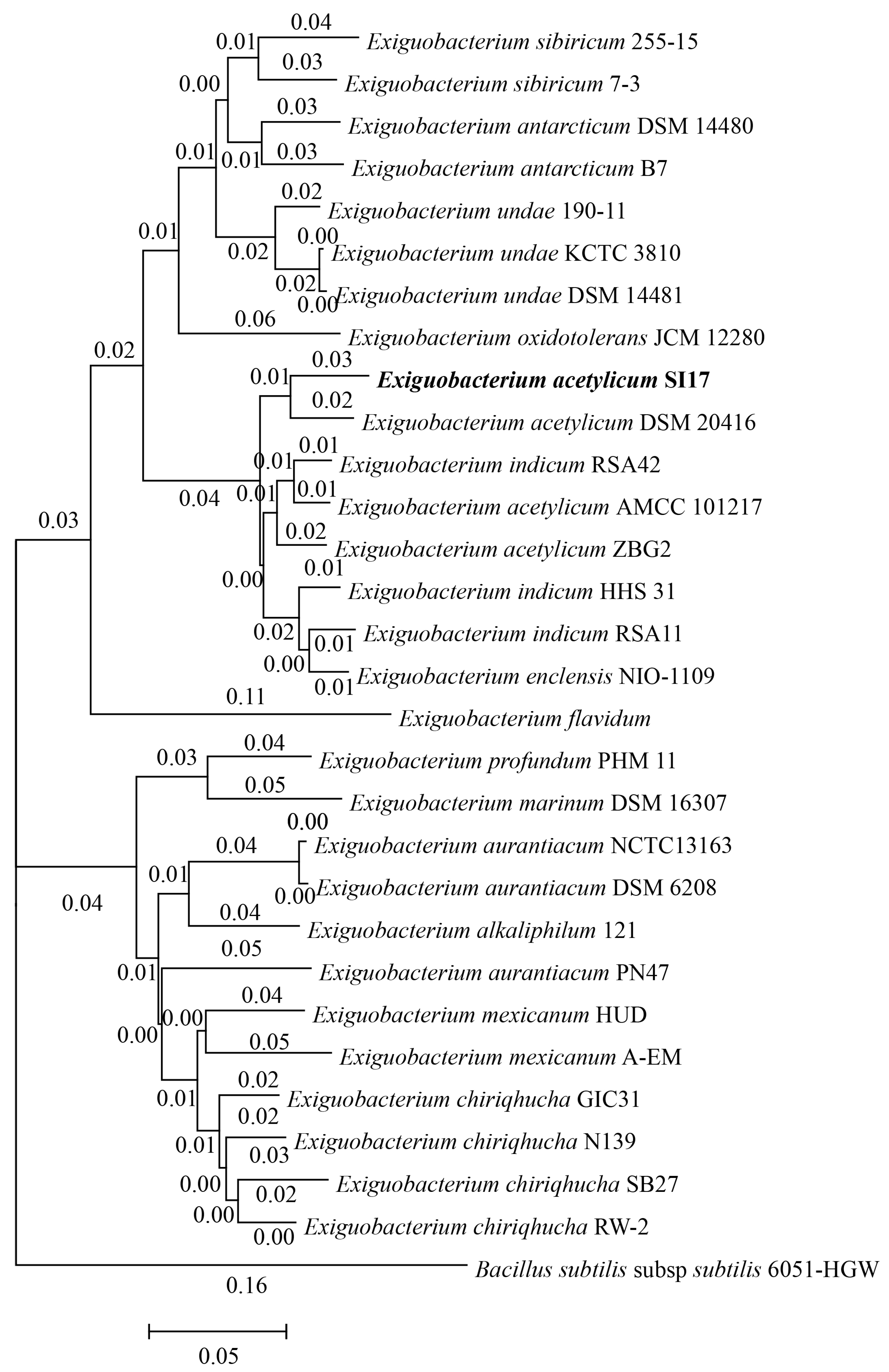 Horticulturae 10 00888 g002