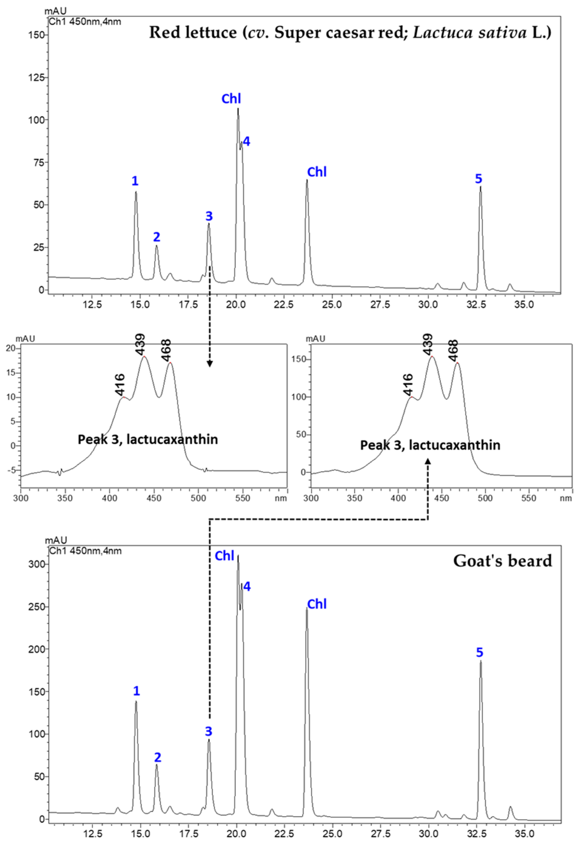 Horticulturae 10 00891 g001
