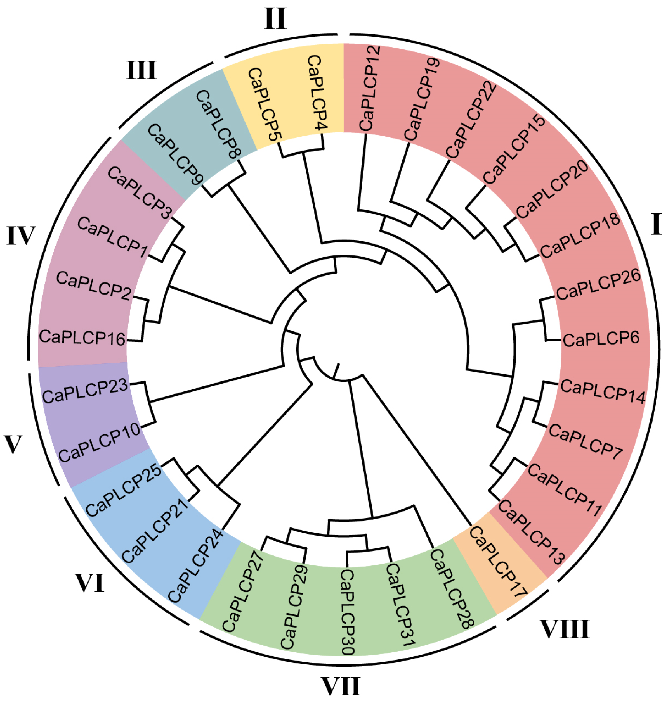 Horticulturae 10 00892 g001