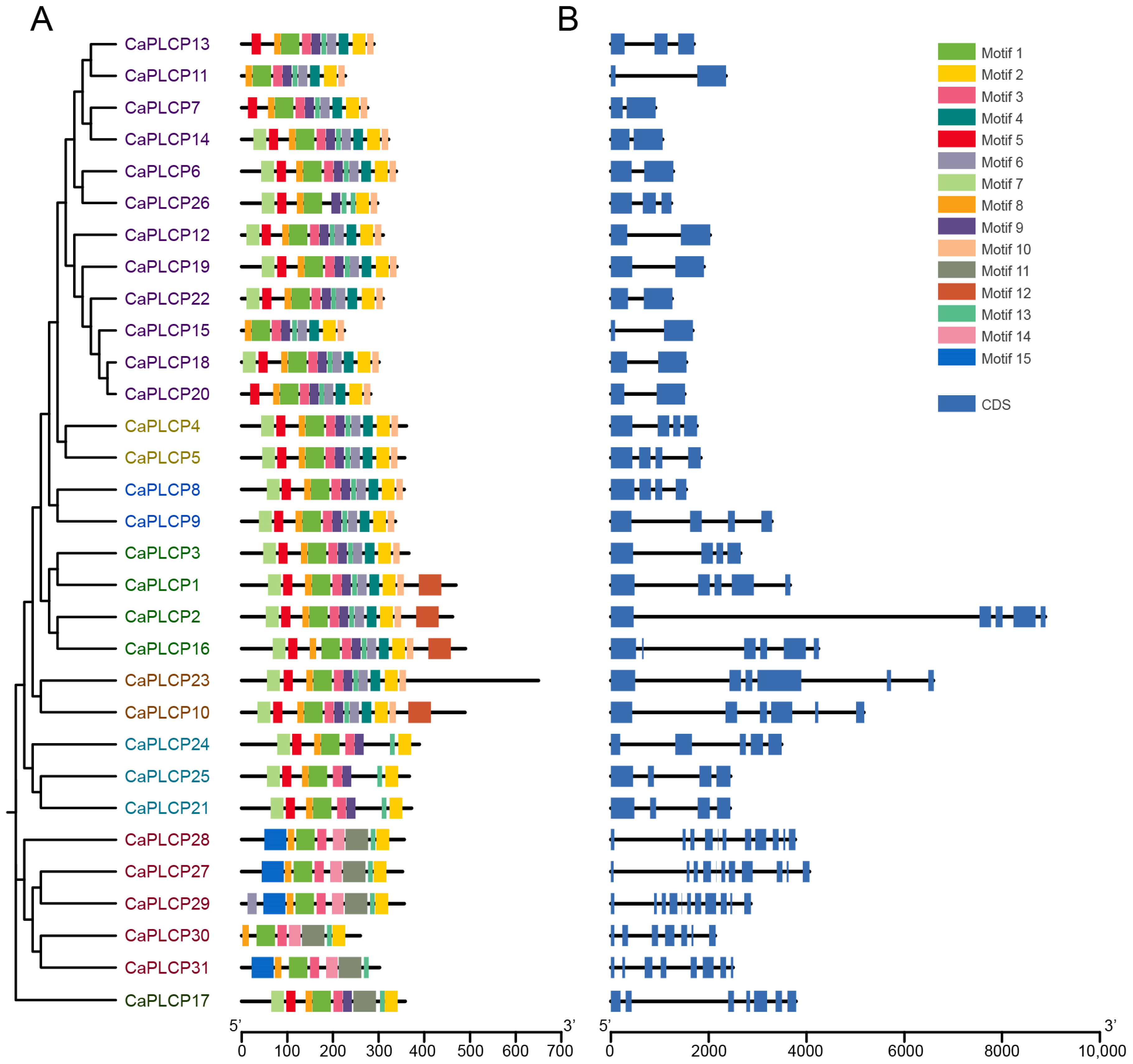 Horticulturae 10 00892 g003