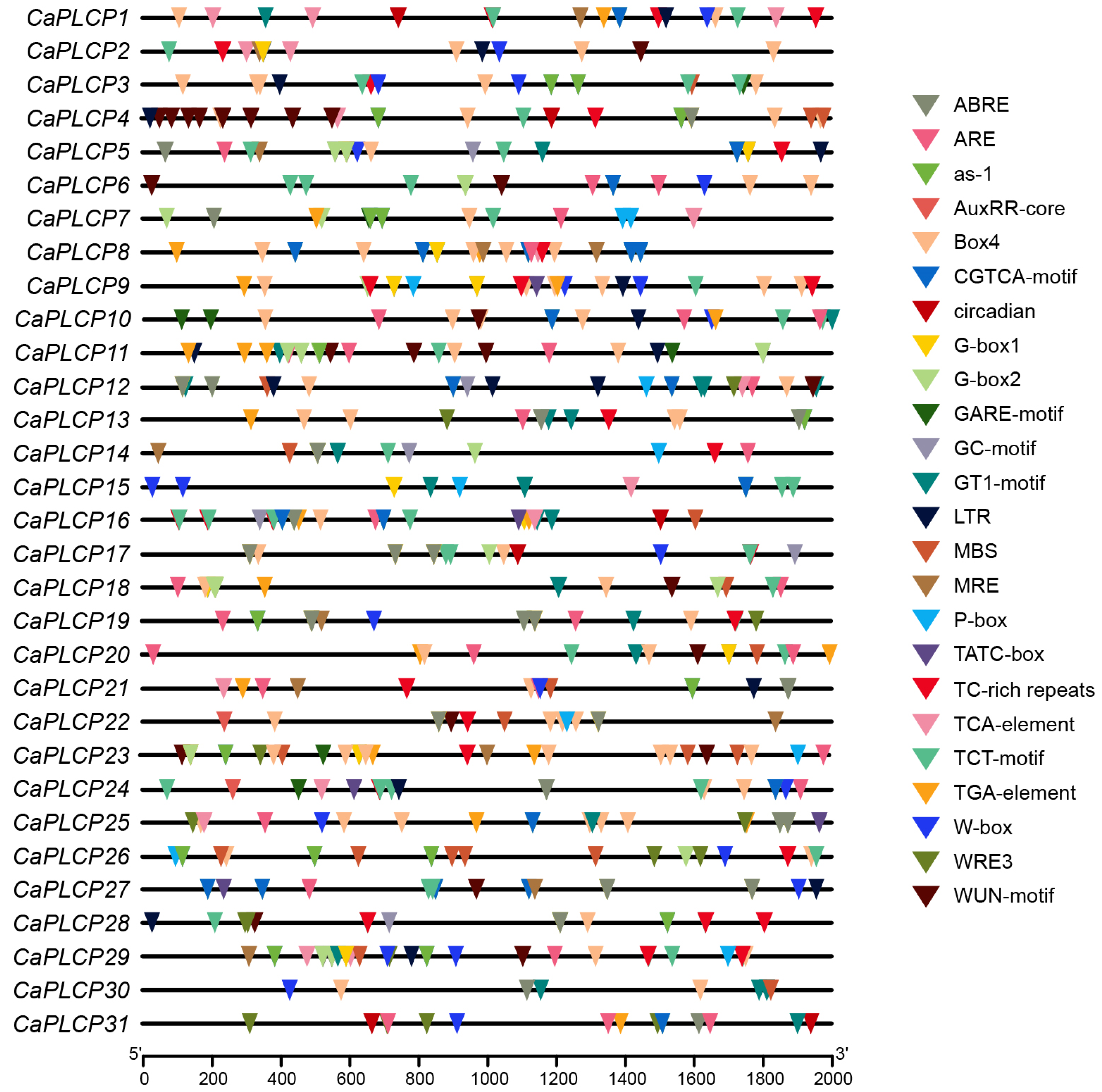 Horticulturae 10 00892 g004