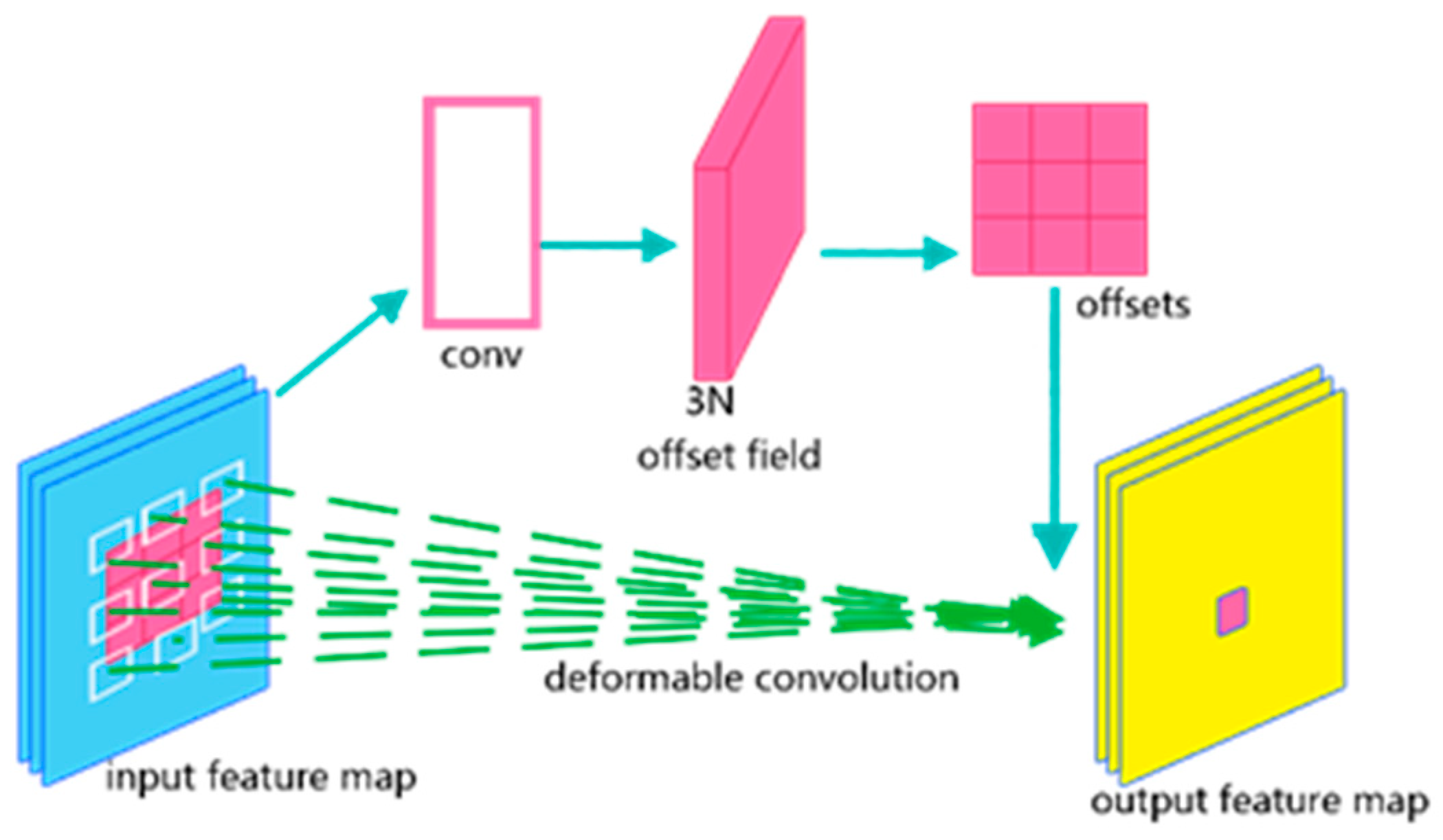 Horticulturae 10 00899 g012