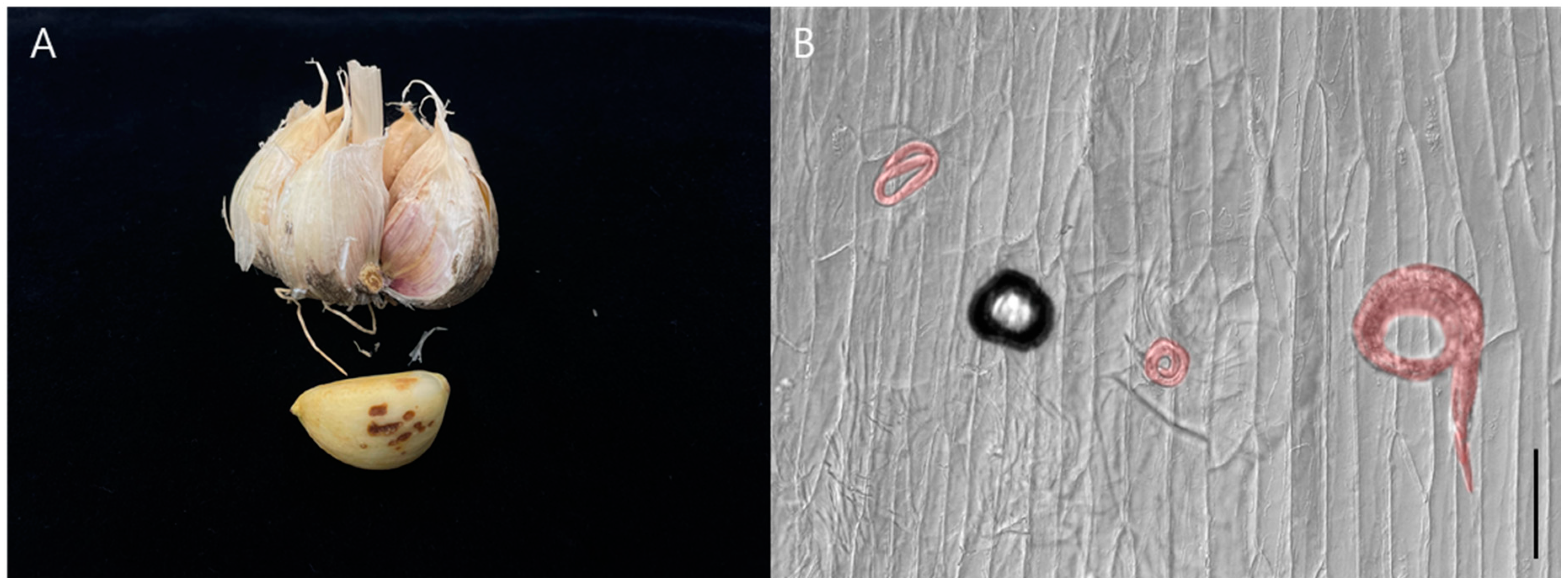 Horticulturae 10 00902 g001