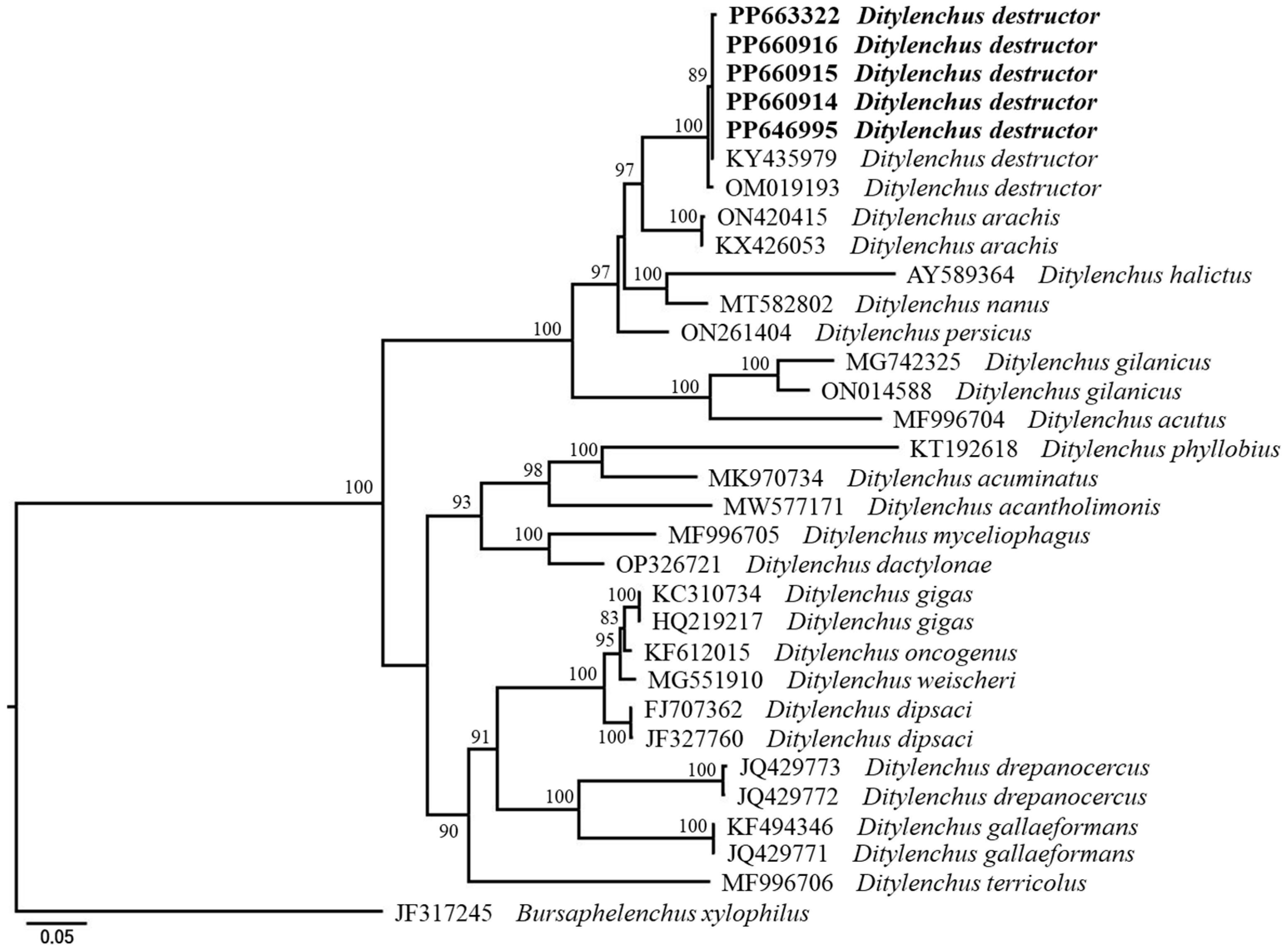 Horticulturae 10 00902 g005