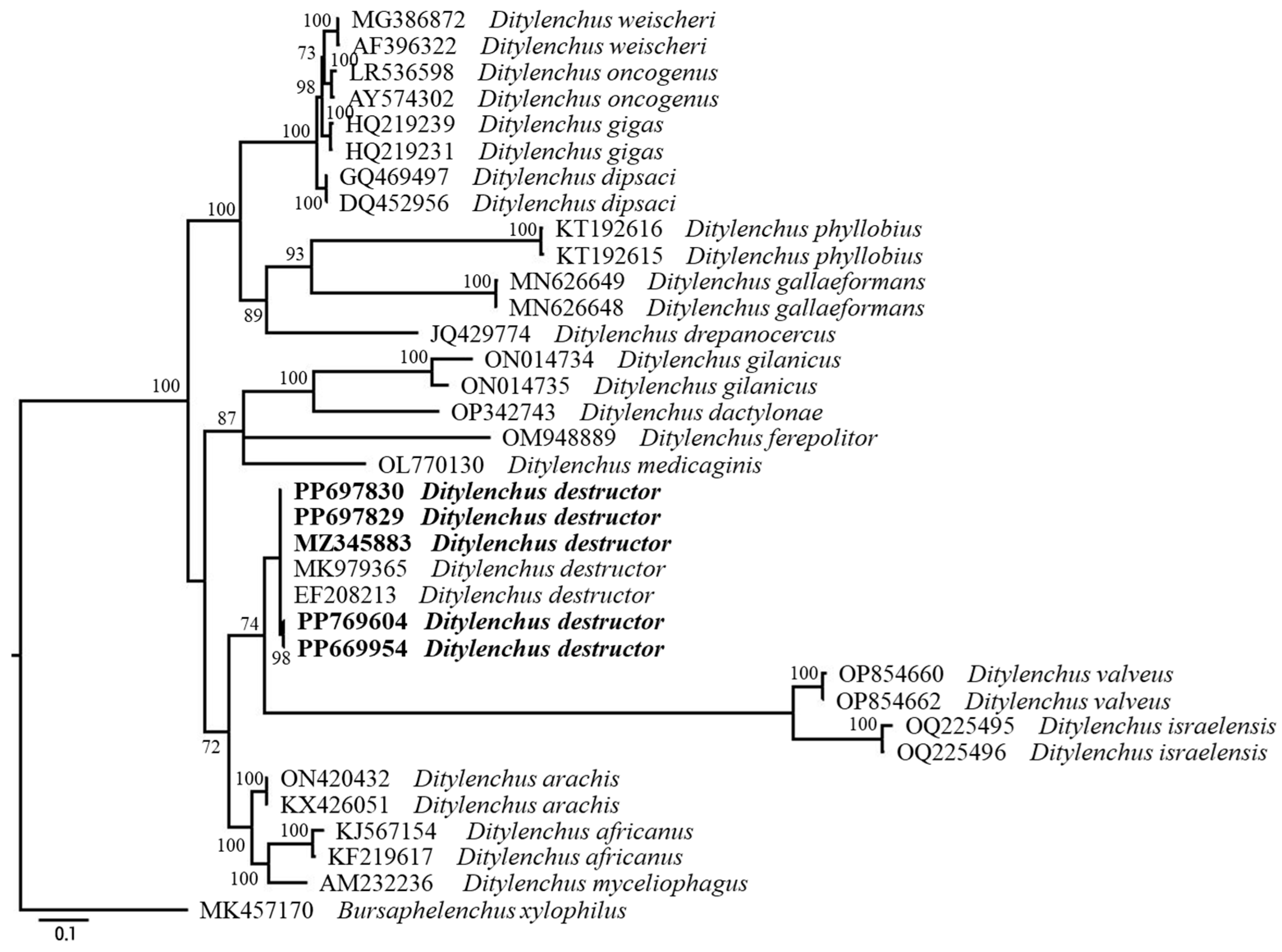 Horticulturae 10 00902 g006