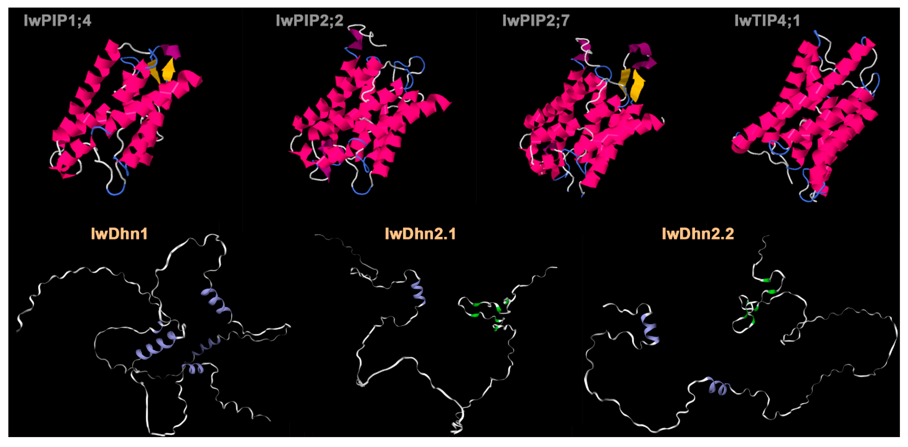 Horticulturae 10 00903 g004