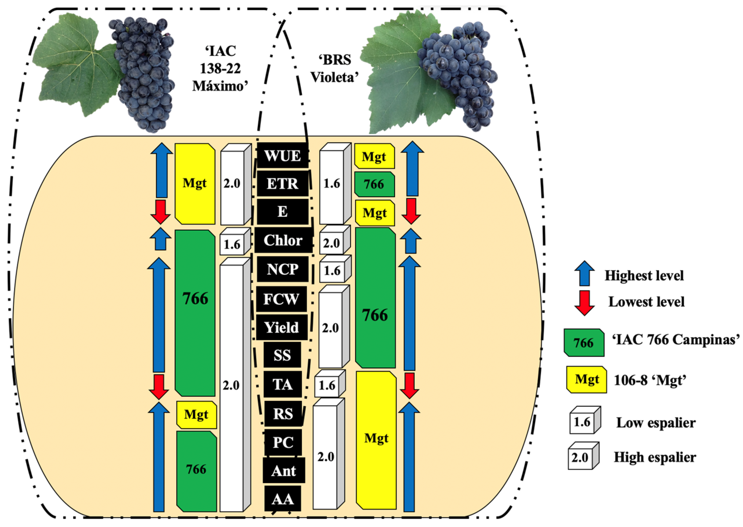 Horticulturae 10 00909 g003