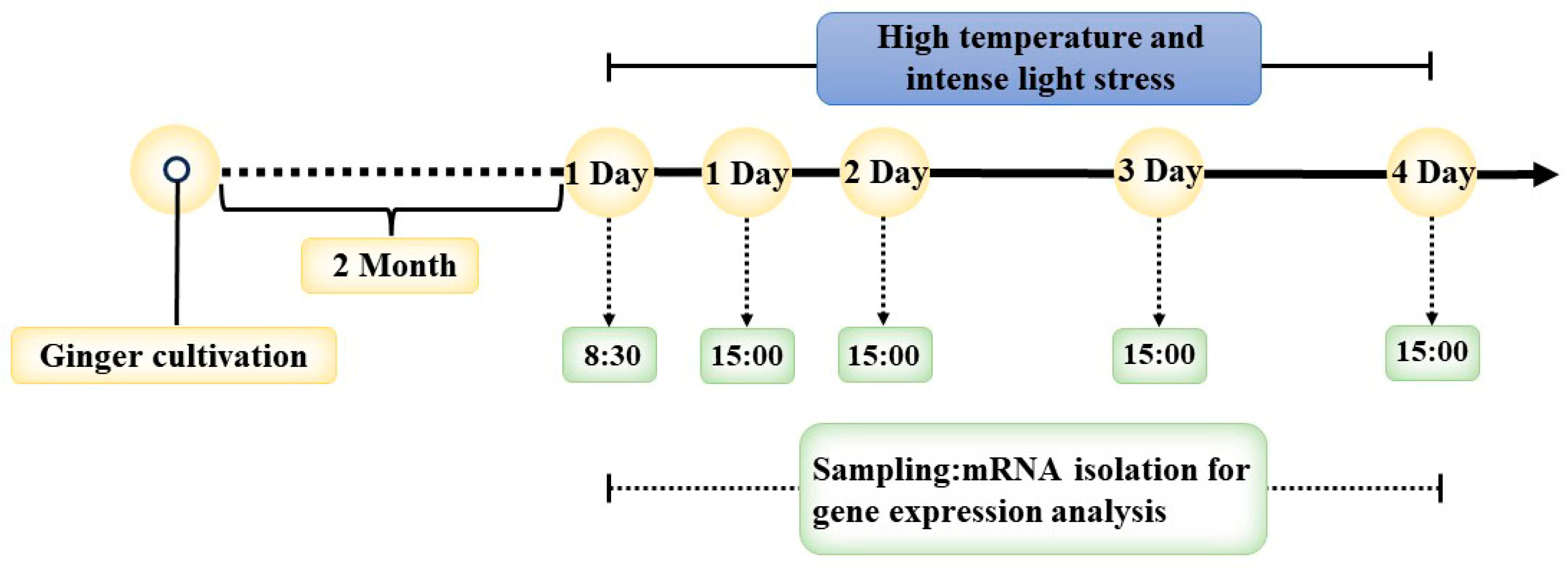 Horticulturae 10 00911 g001
