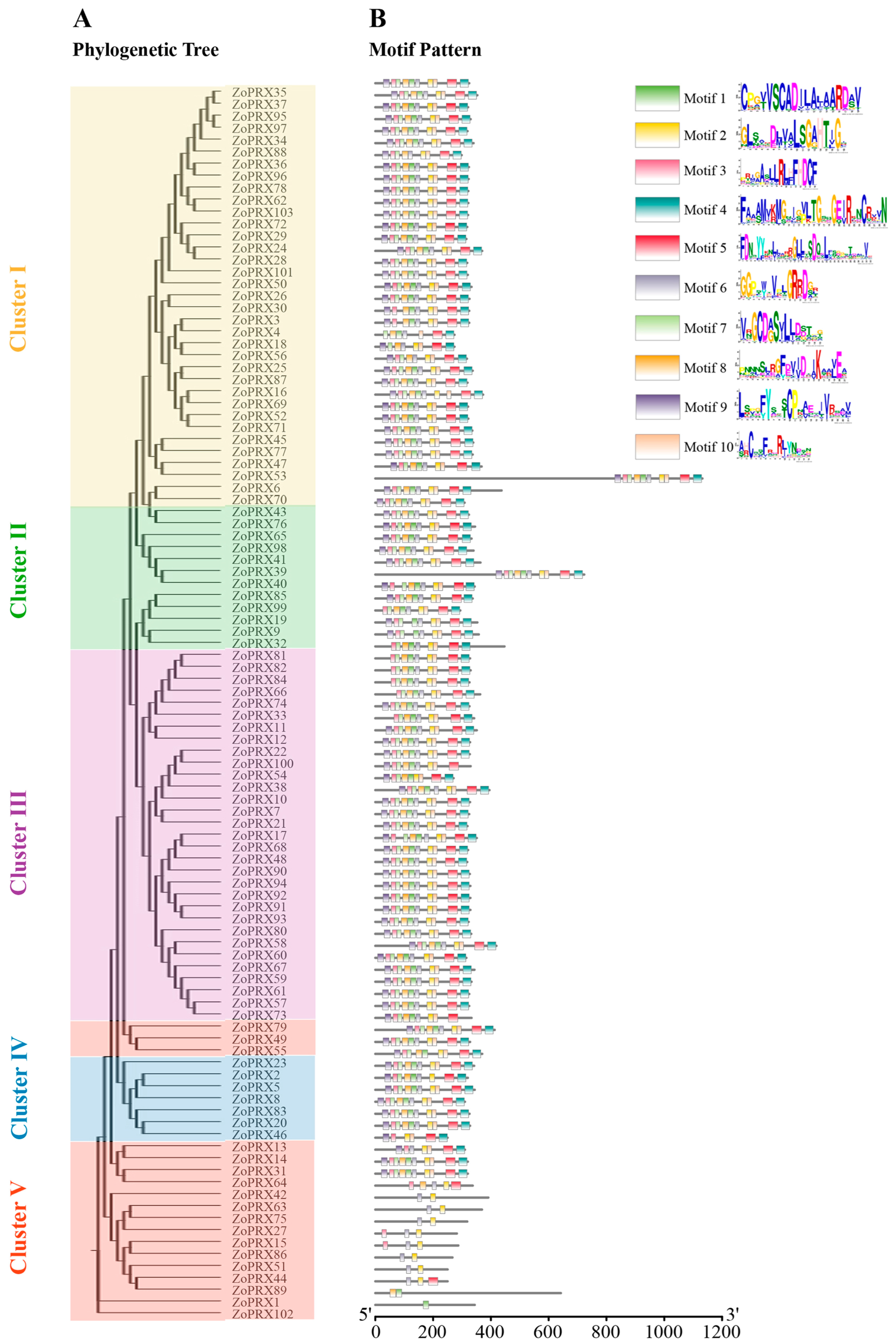 Horticulturae 10 00911 g003