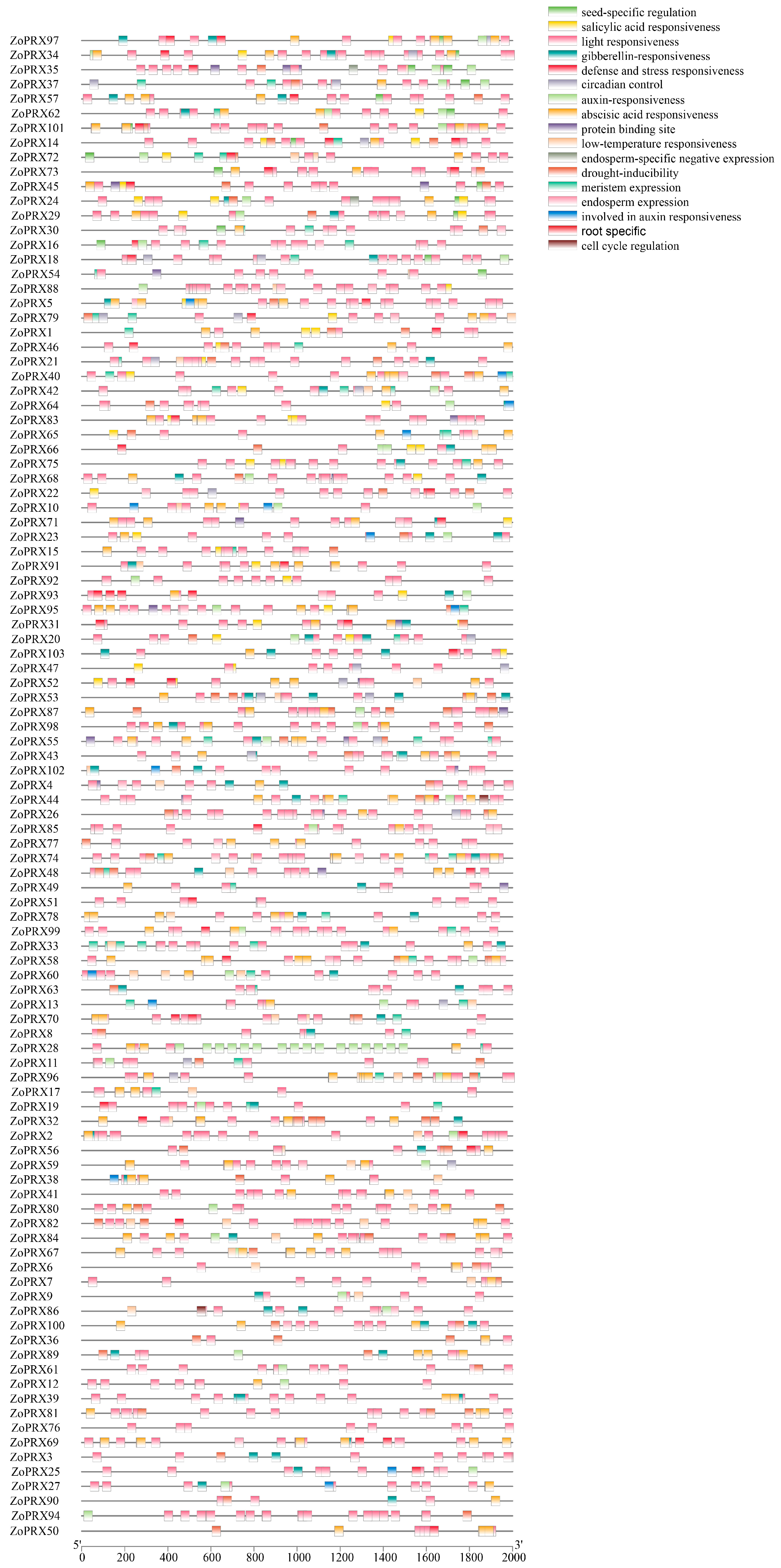 Horticulturae 10 00911 g004