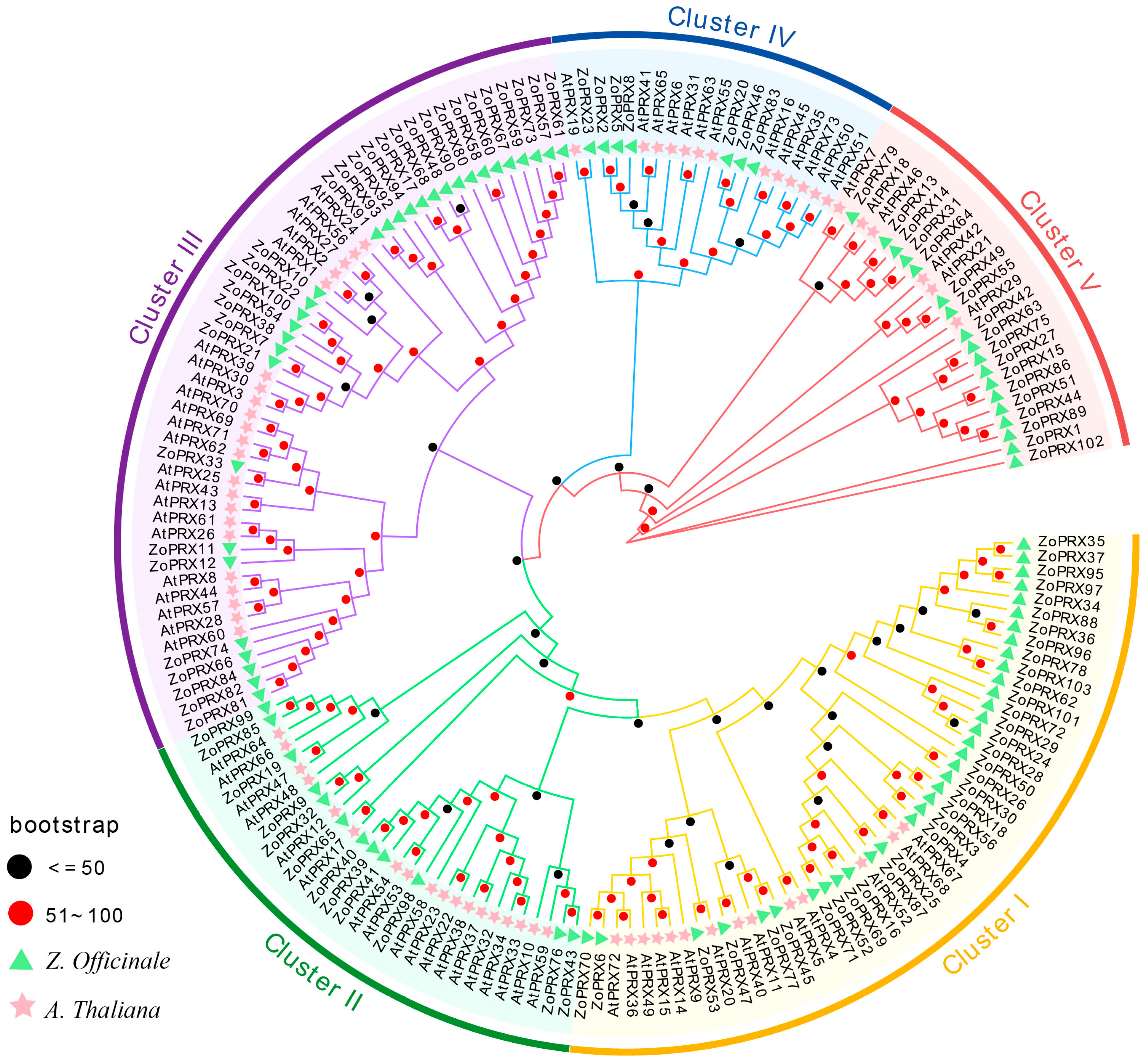 Horticulturae 10 00911 g005