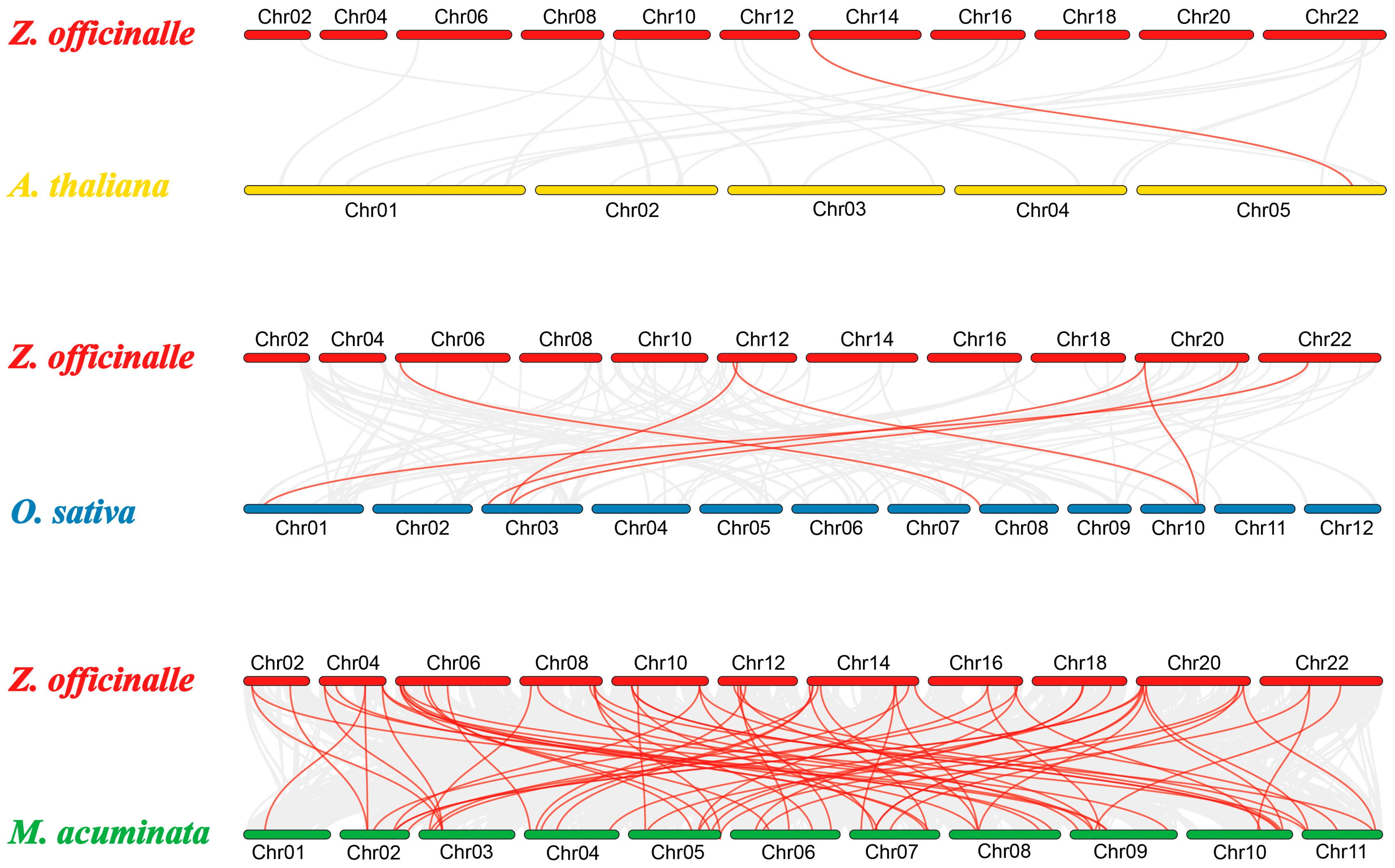 Horticulturae 10 00911 g007
