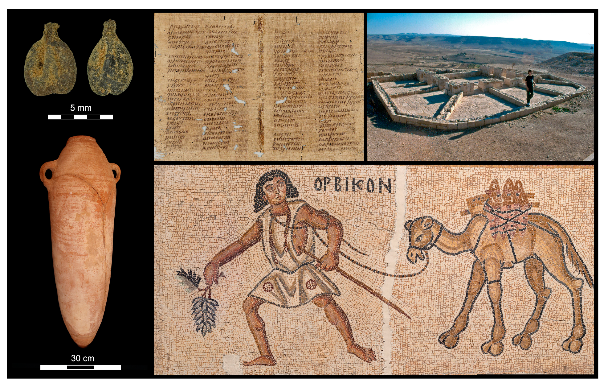 Horticulturae 10 00917 g002