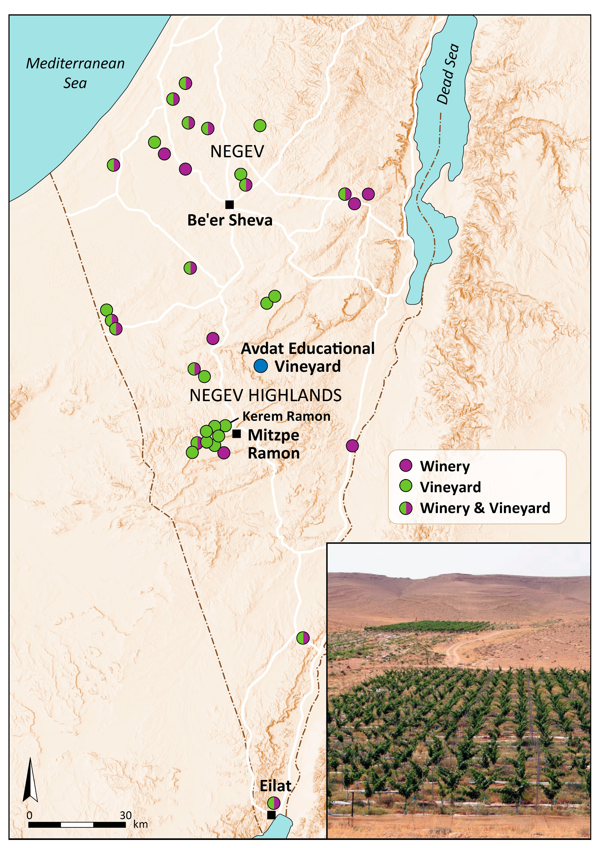 Horticulturae 10 00917 g003