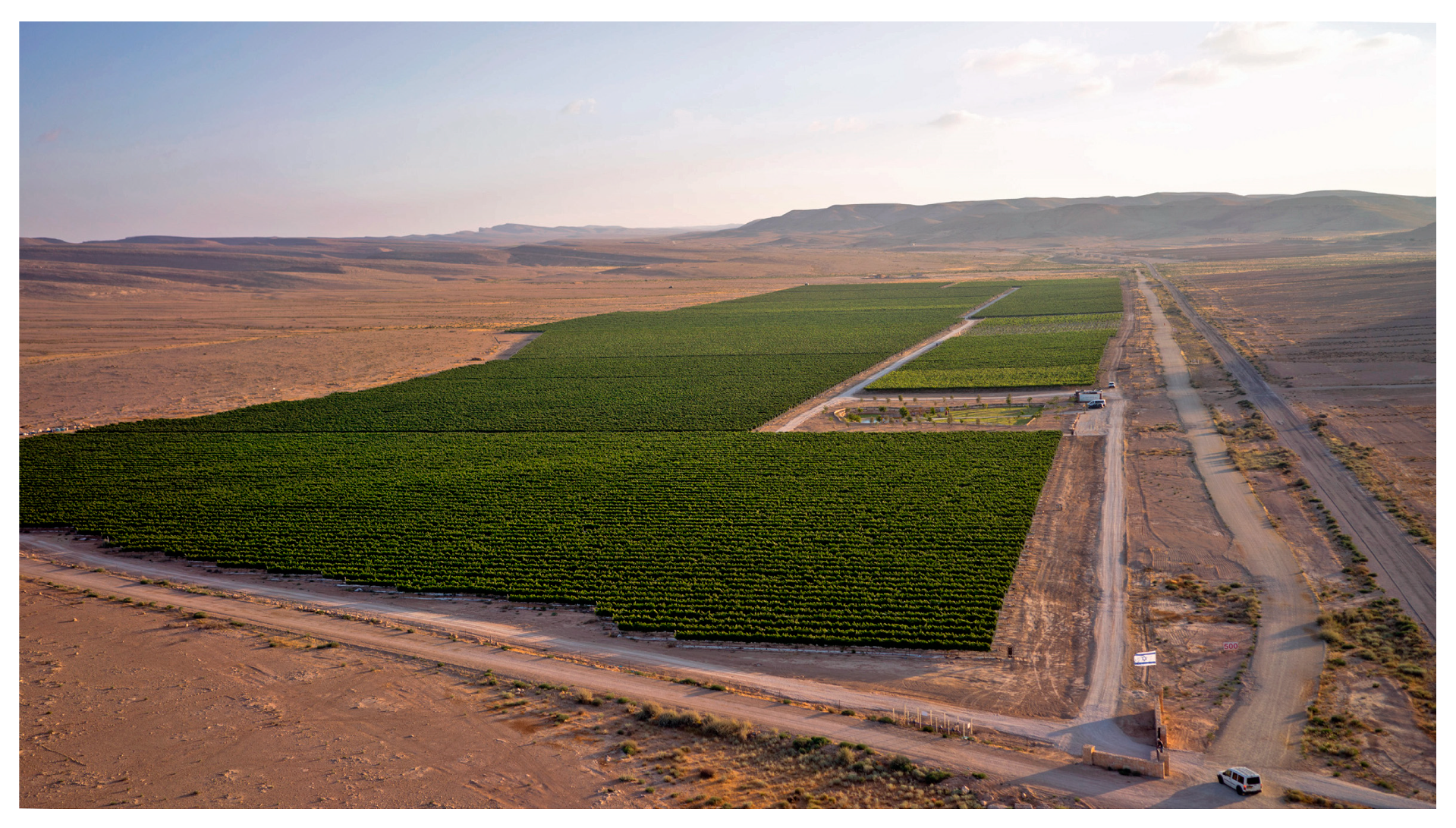 Horticulturae 10 00917 g004