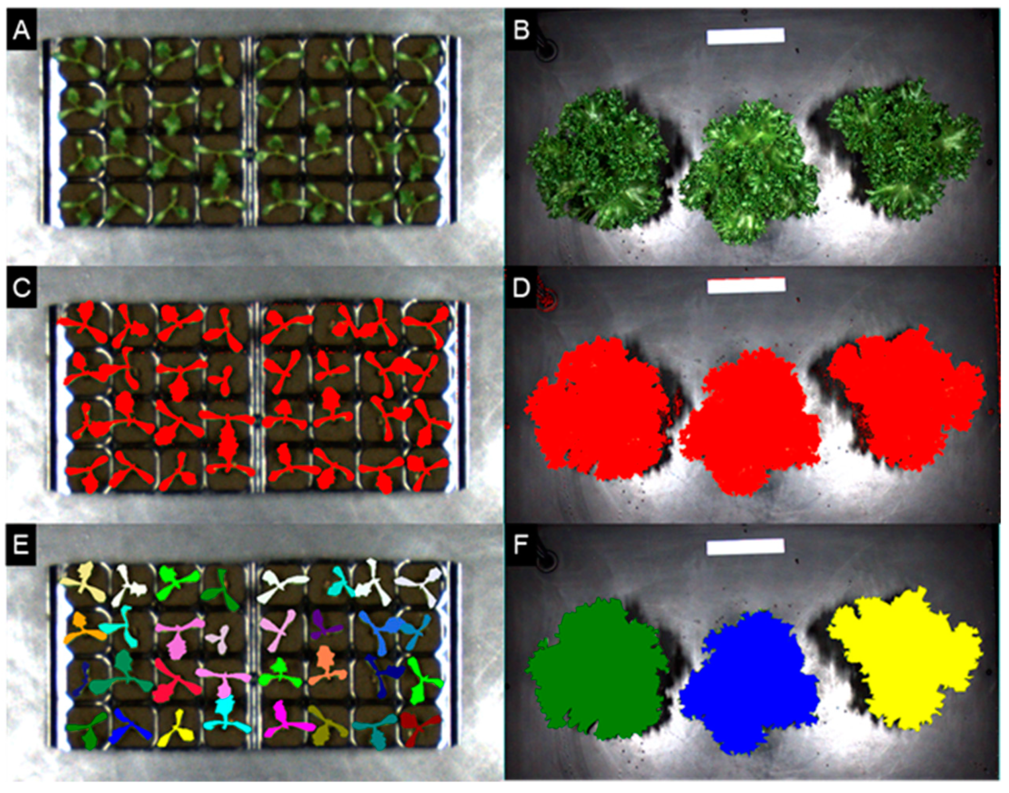 Horticulturae 10 00919 g003