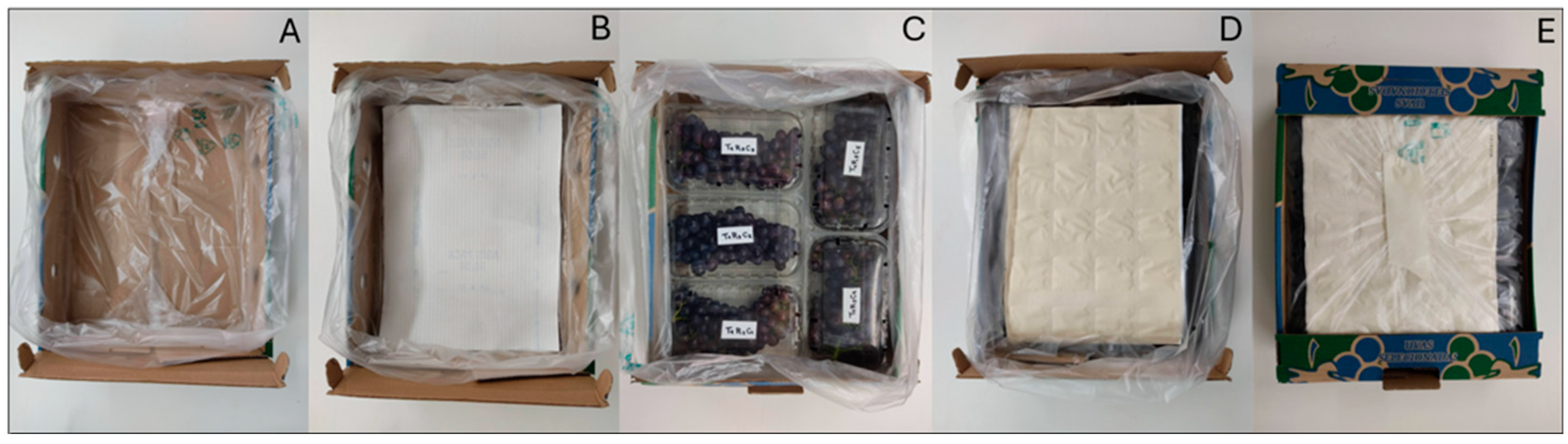 Horticulturae 10 00924 g001 Horticulturae 10 00924 g001