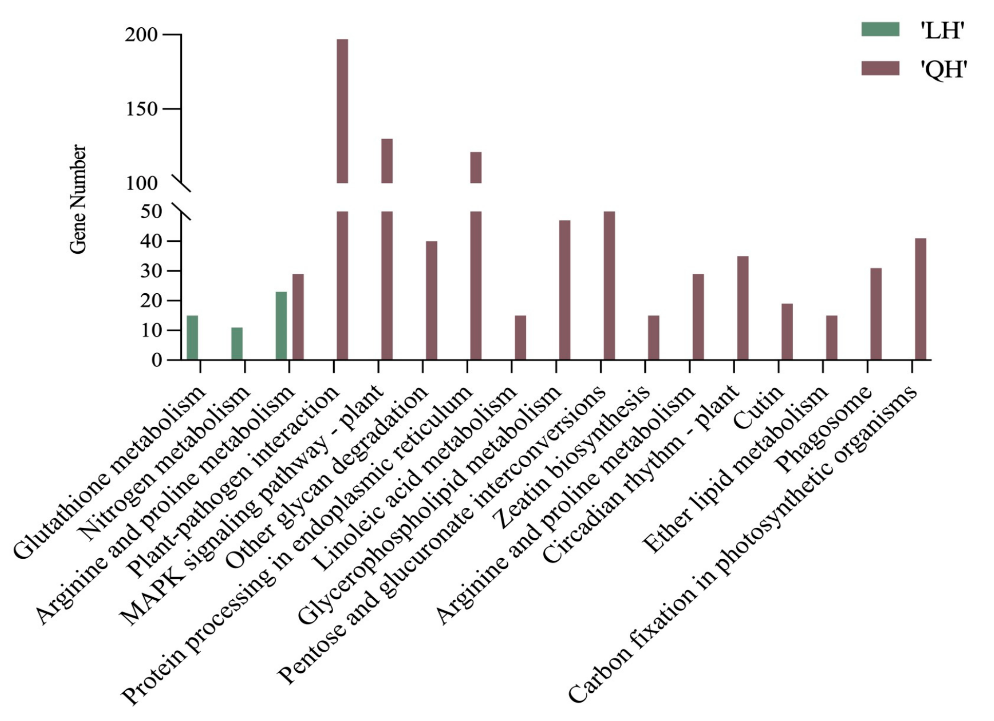 Horticulturae 10 00928 g006