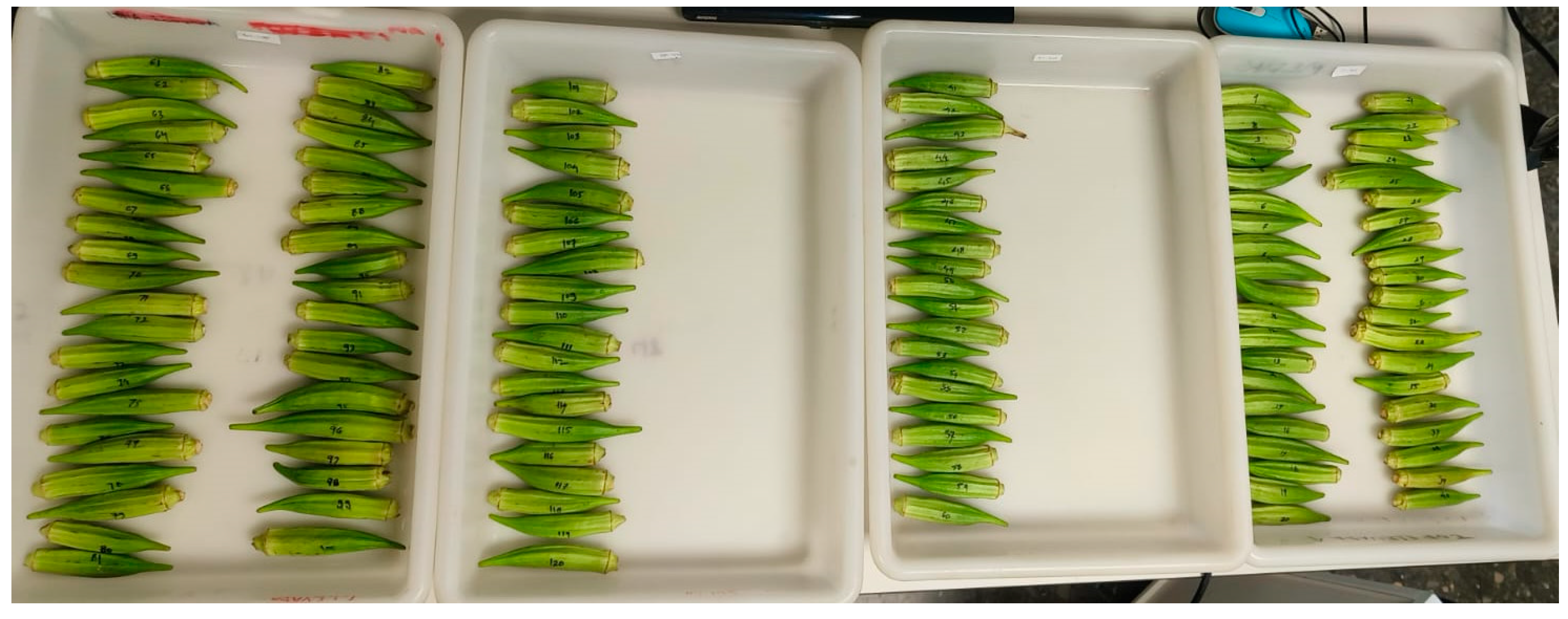 Horticulturae 10 00930 g001