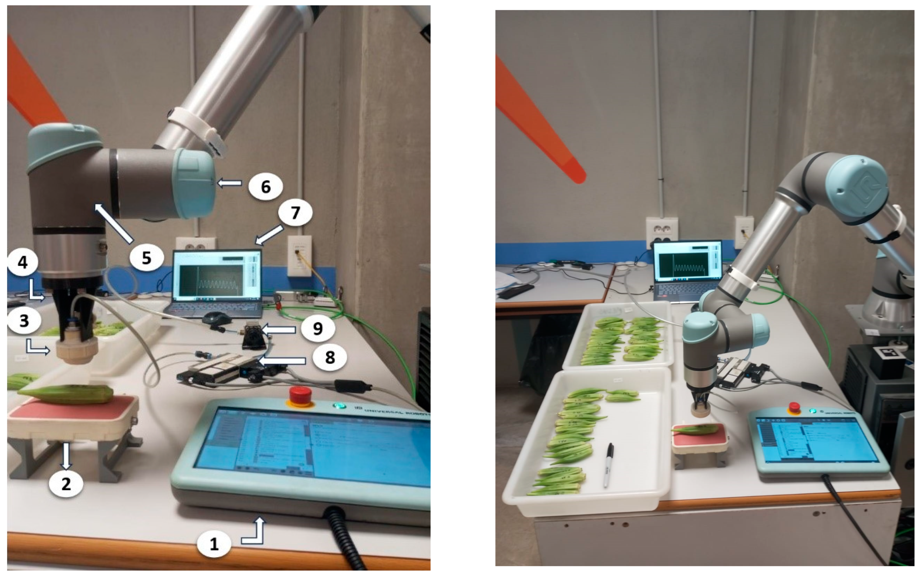 Horticulturae 10 00930 g002