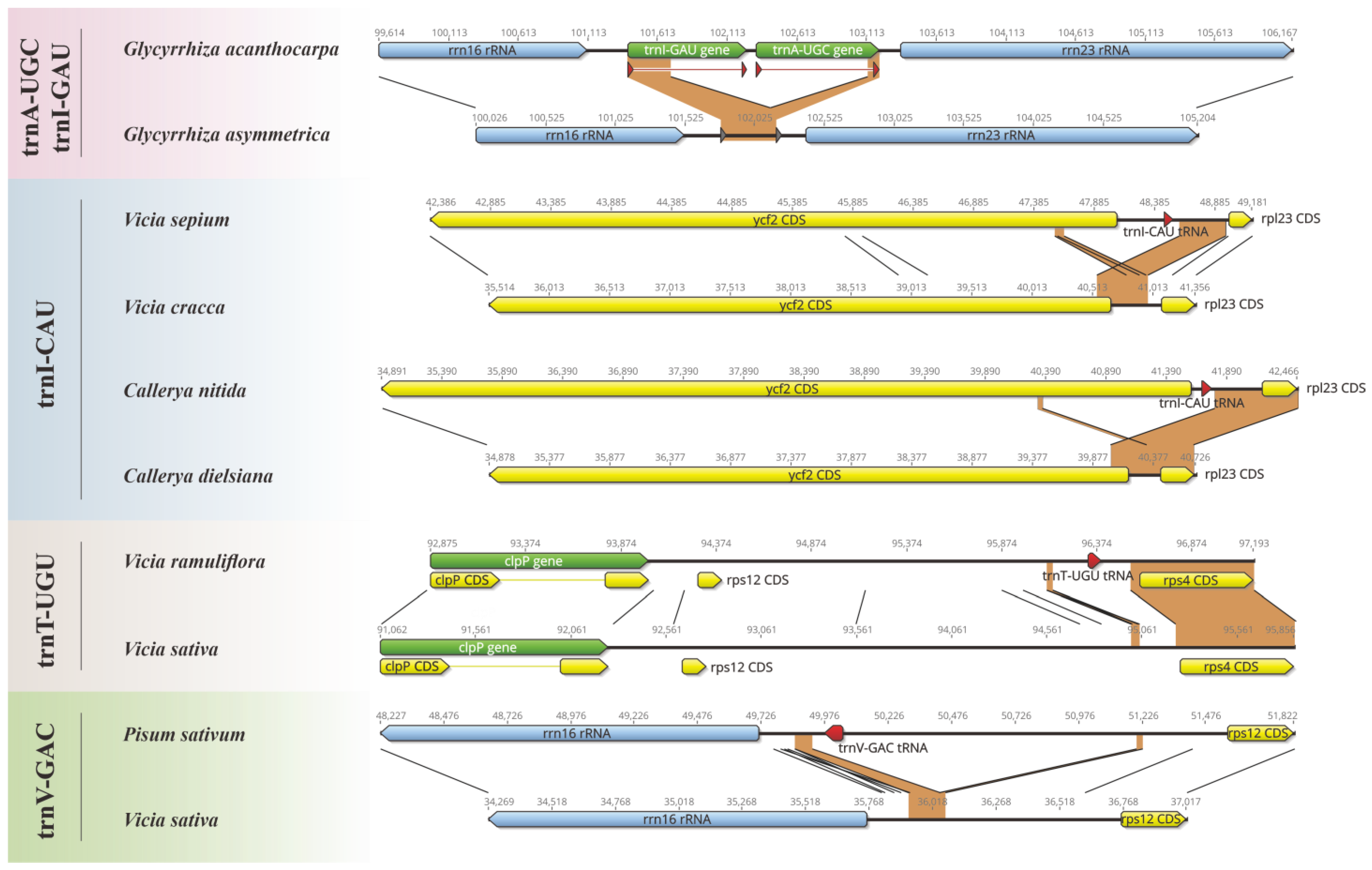 Horticulturae 10 00932 g001 Horticulturae 10 00932 g001