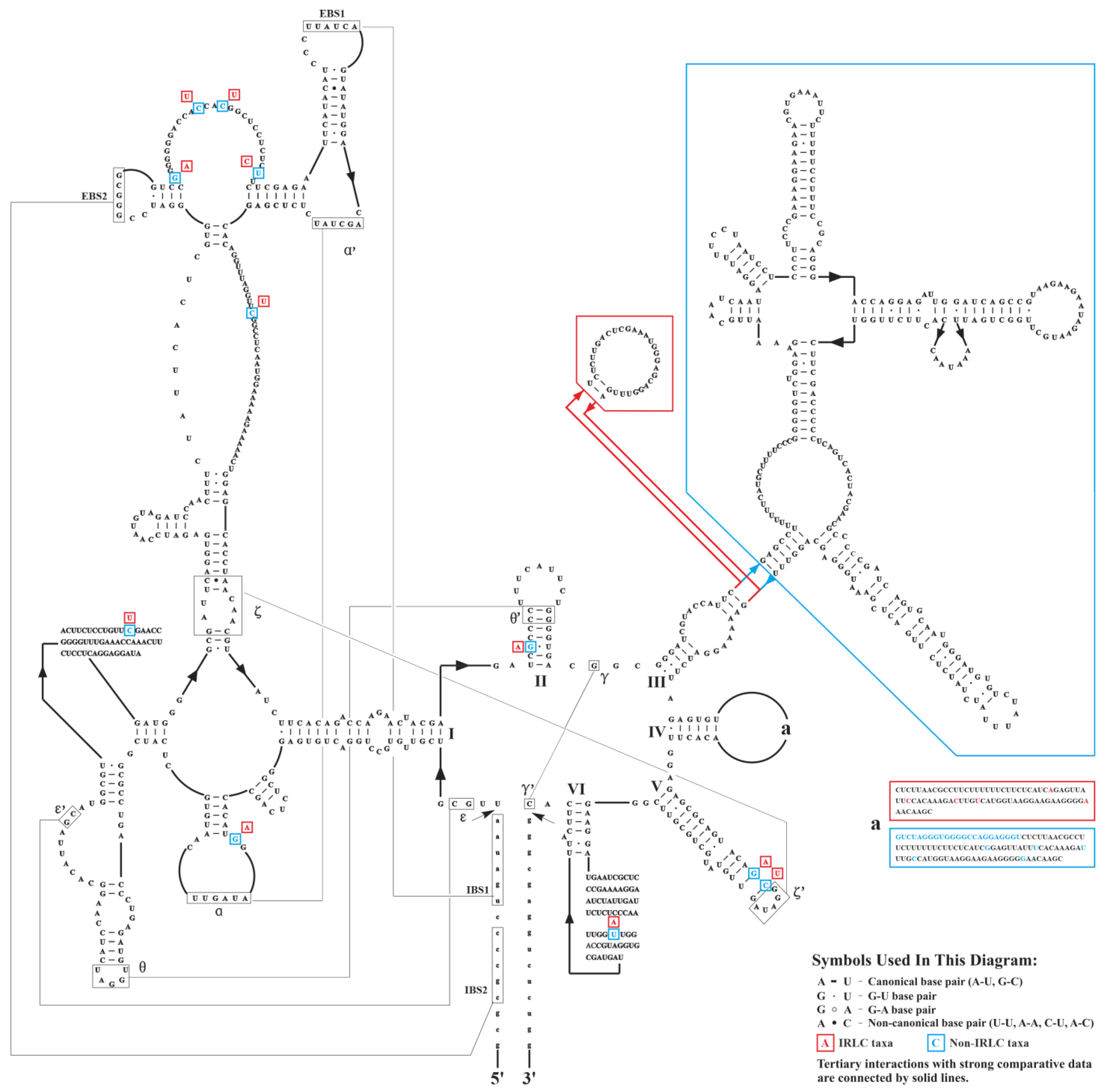 Horticulturae 10 00932 g004 Horticulturae 10 00932 g004