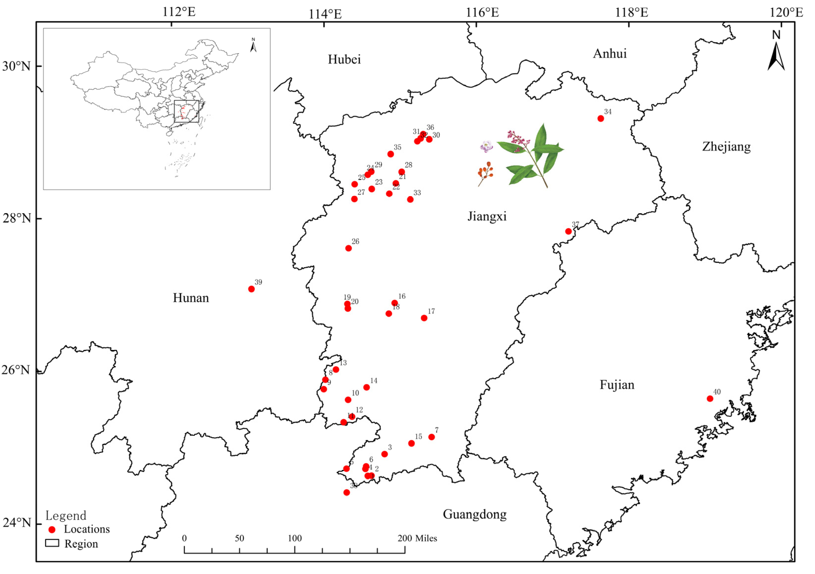 Horticulturae 10 00935 g001 Horticulturae 10 00935 g001
