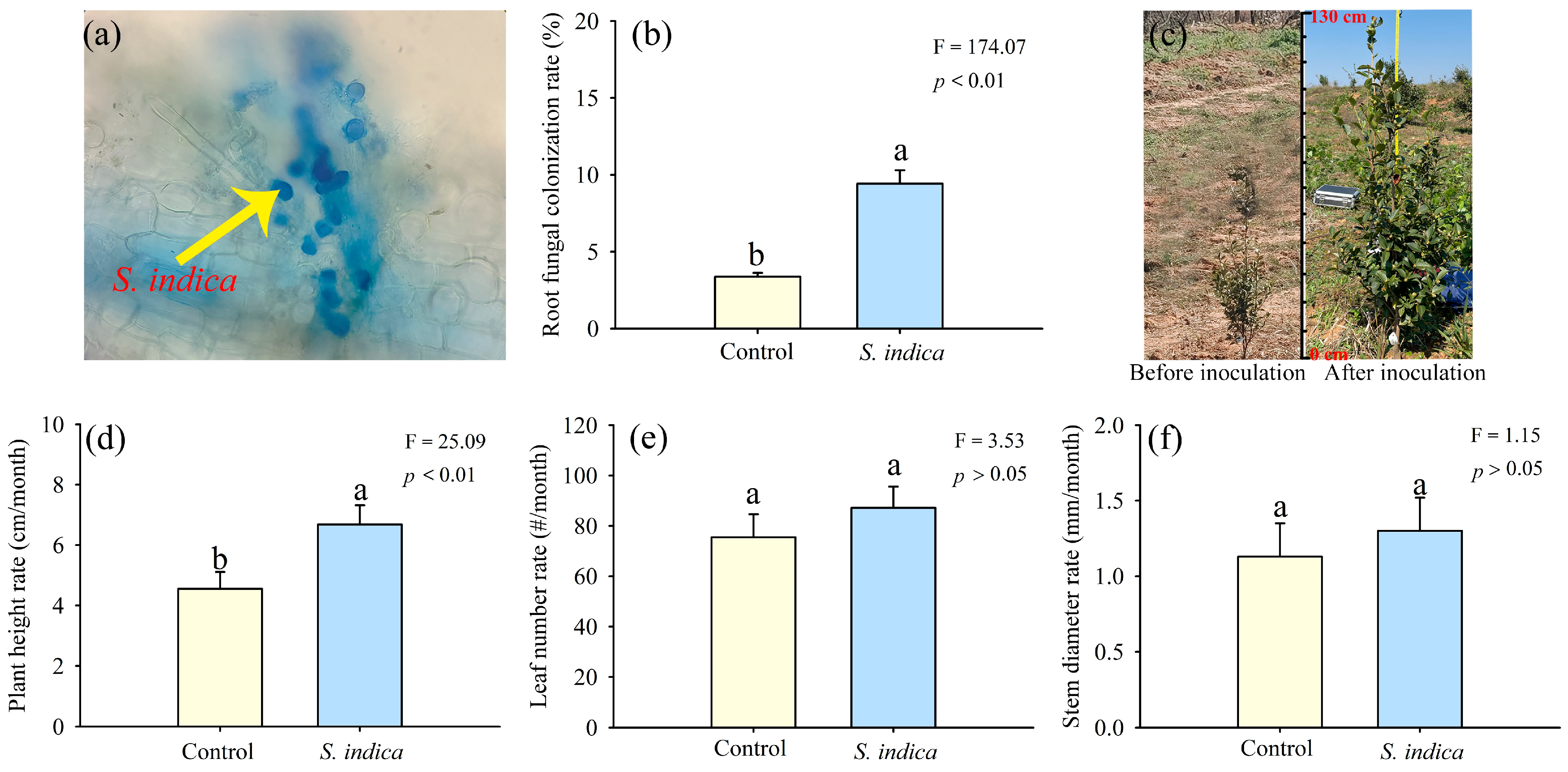 Horticulturae 10 00936 g002