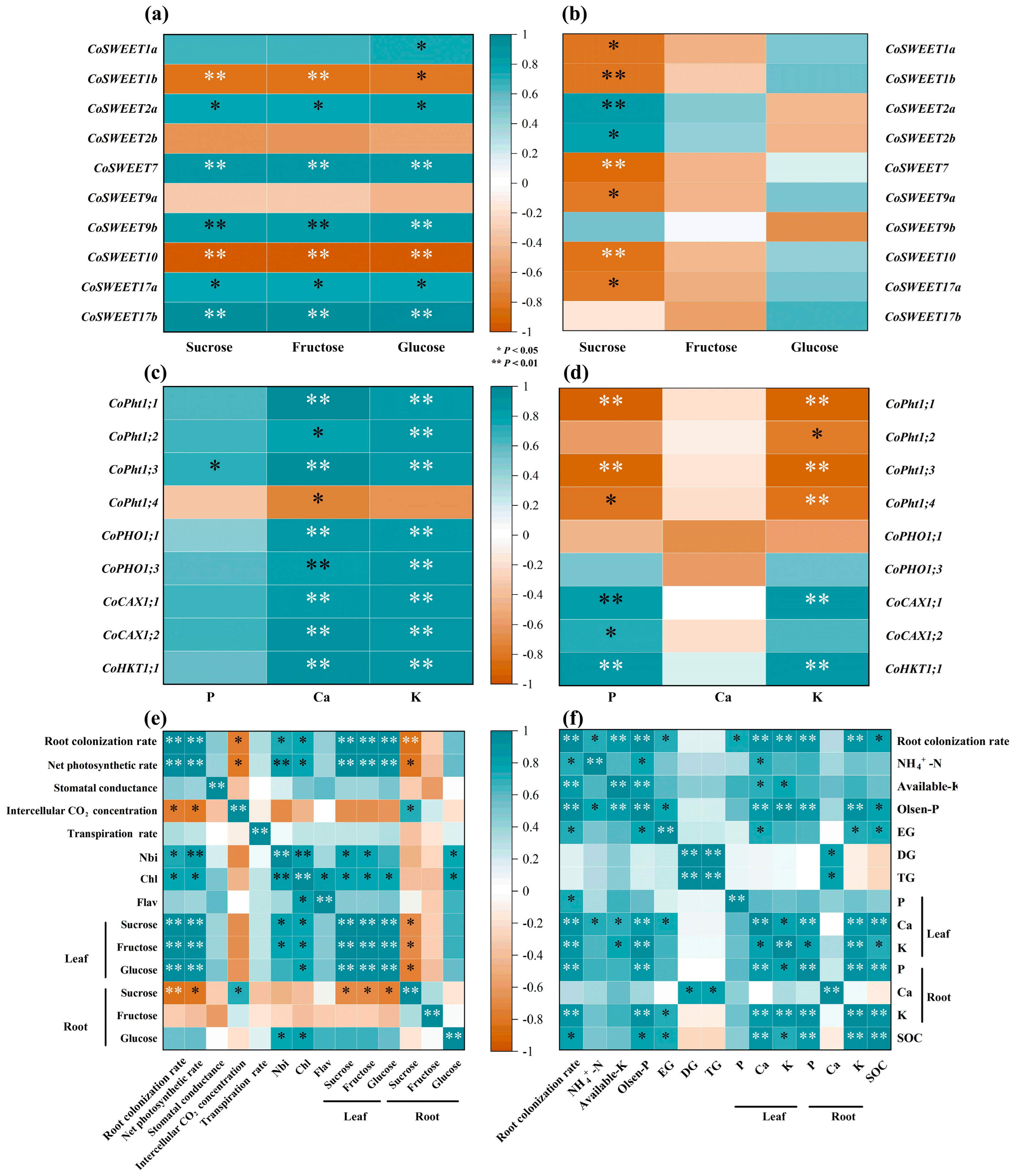 Horticulturae 10 00936 g007