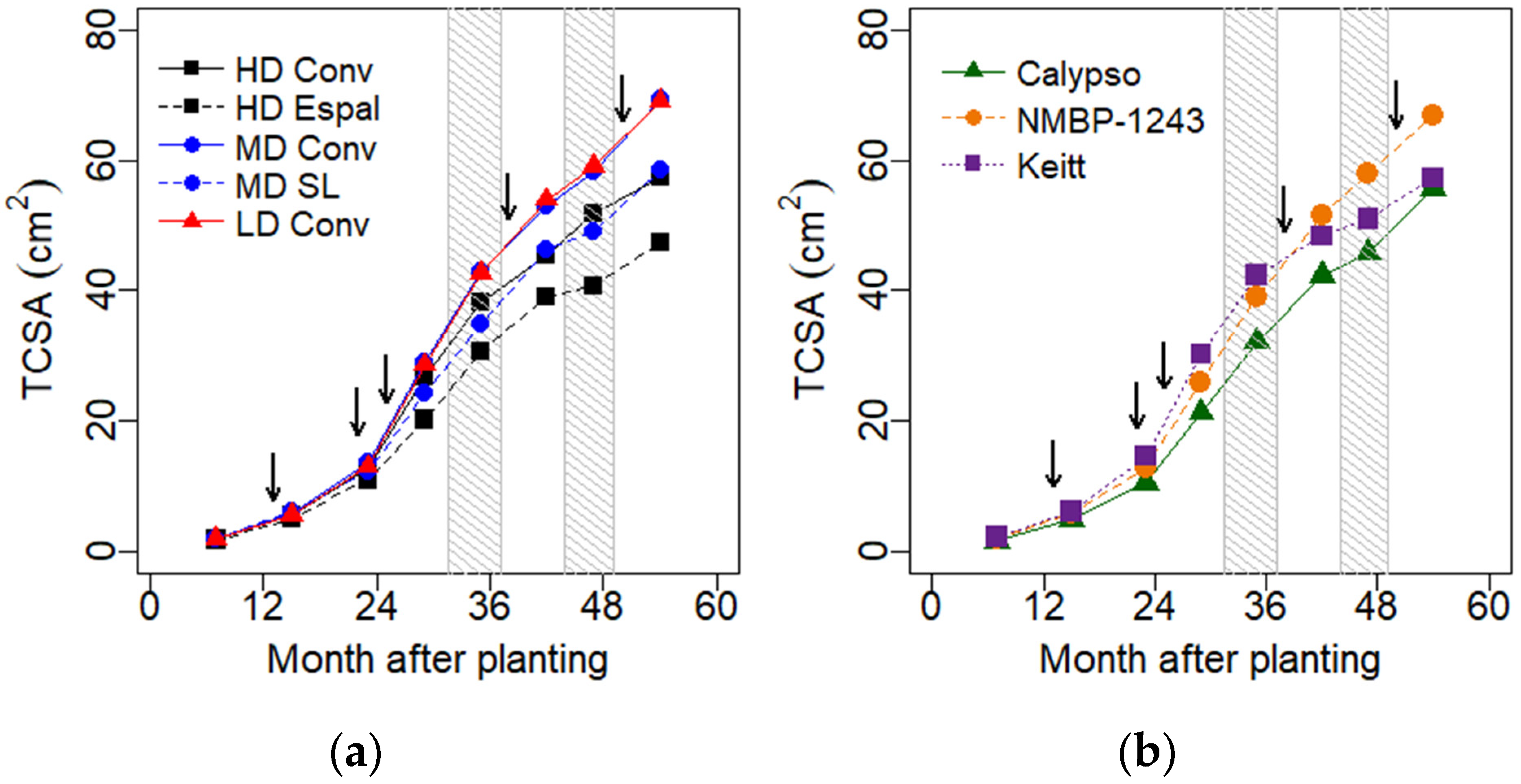 Horticulturae 10 00937 g003 Horticulturae 10 00937 g003