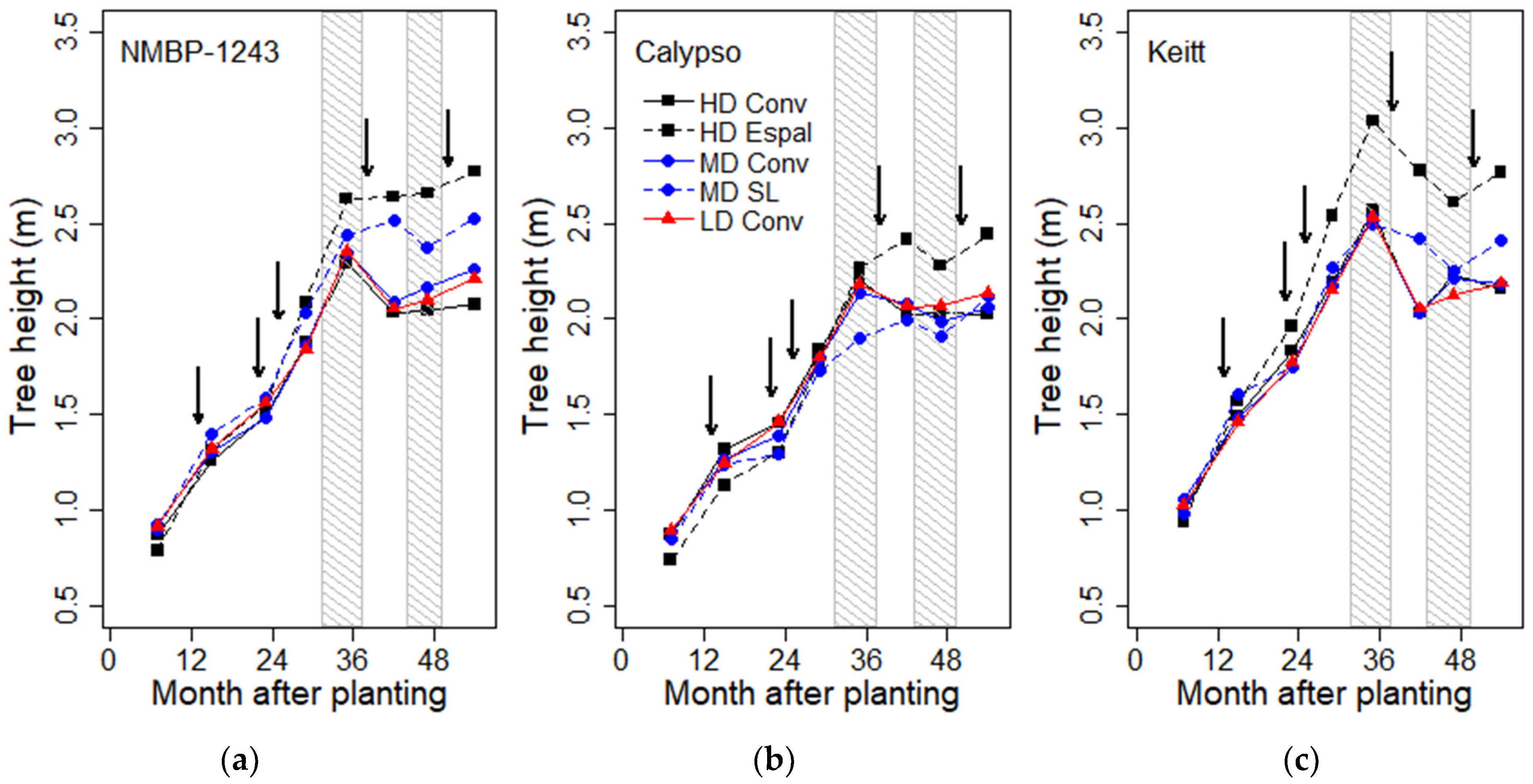 Horticulturae 10 00937 g004 Horticulturae 10 00937 g004