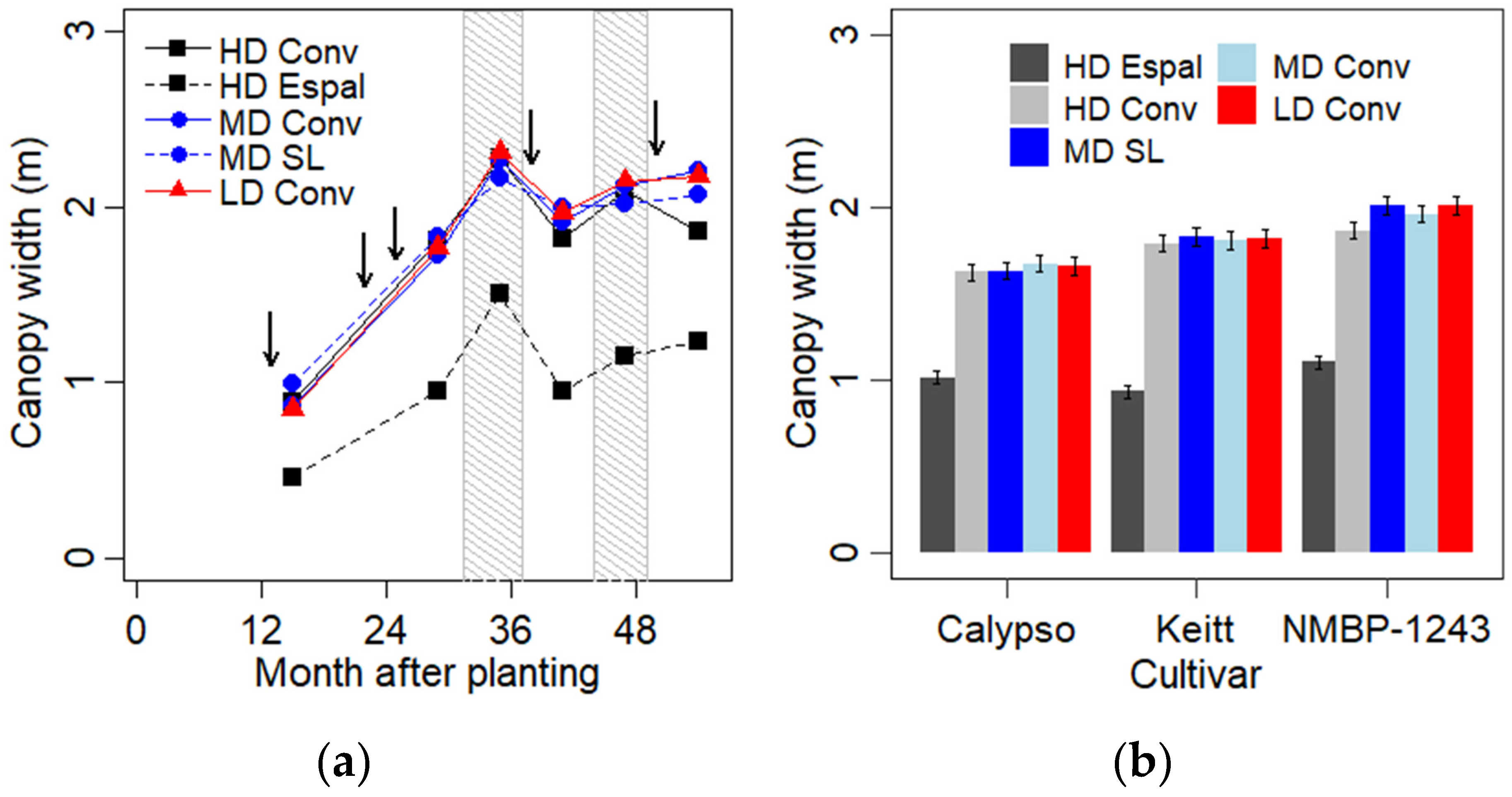 Horticulturae 10 00937 g006 Horticulturae 10 00937 g006