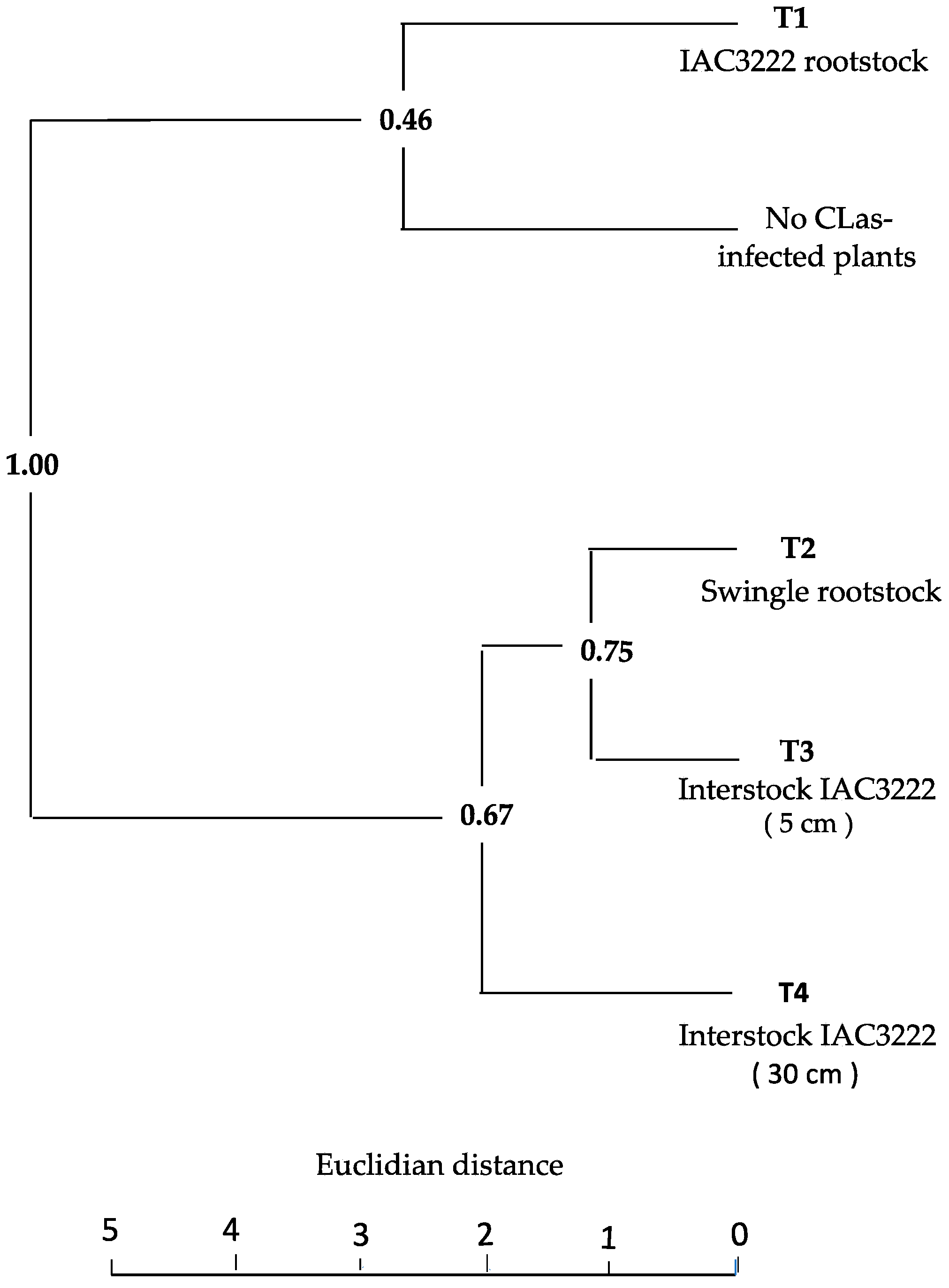Horticulturae 10 00942 g002 Horticulturae 10 00942 g002