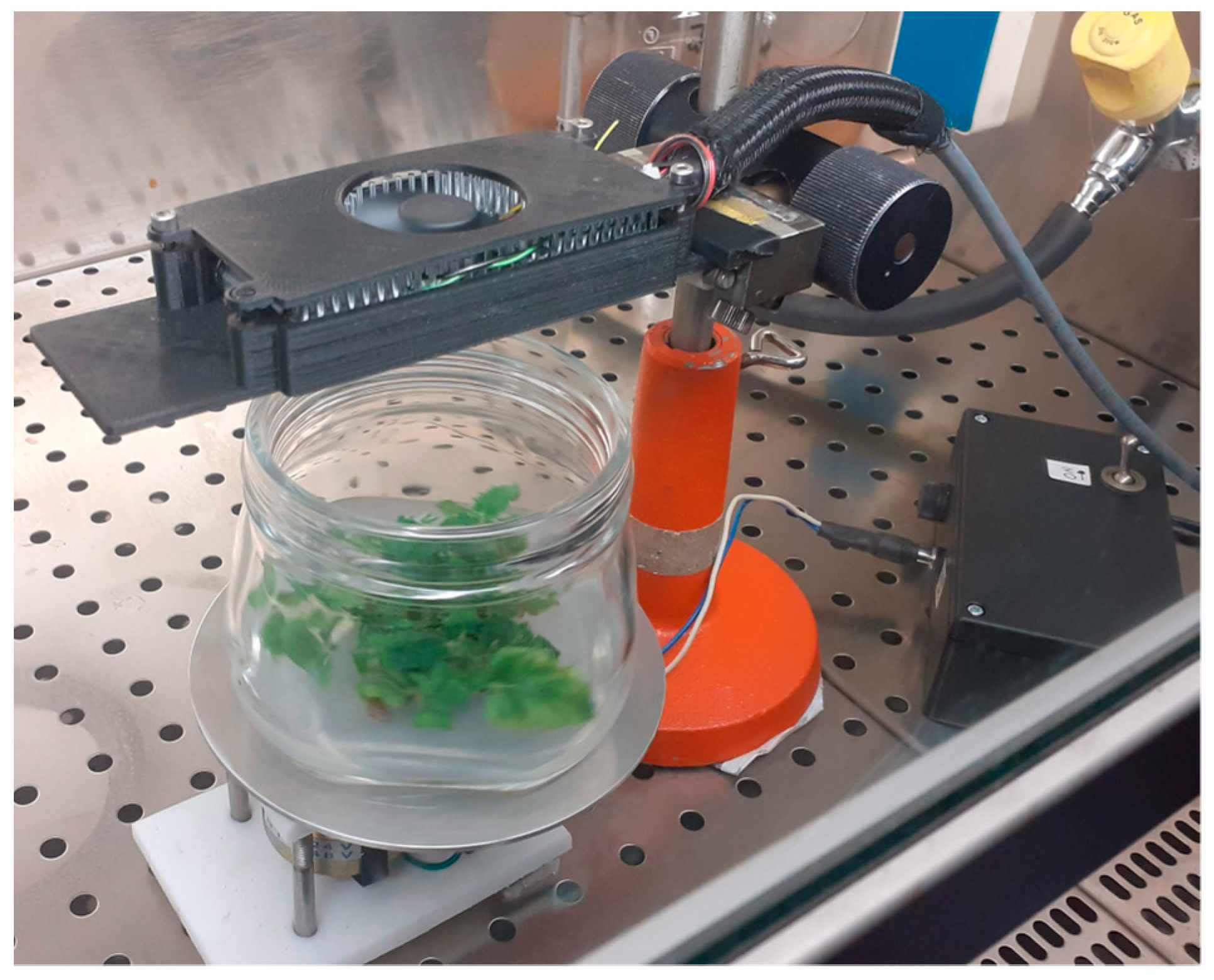 Horticulturae 10 00944 g002