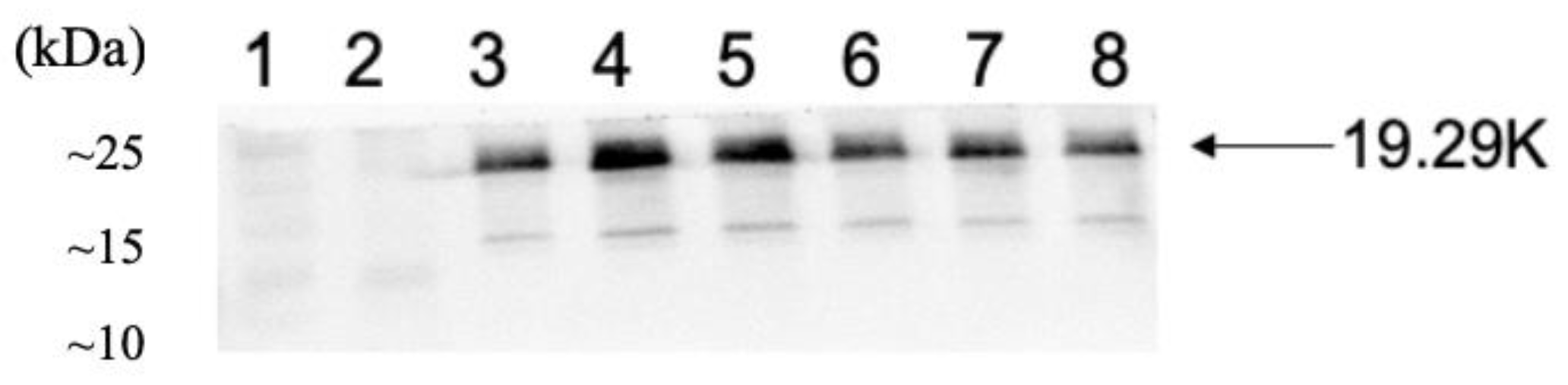 Horticulturae 10 00945 g005