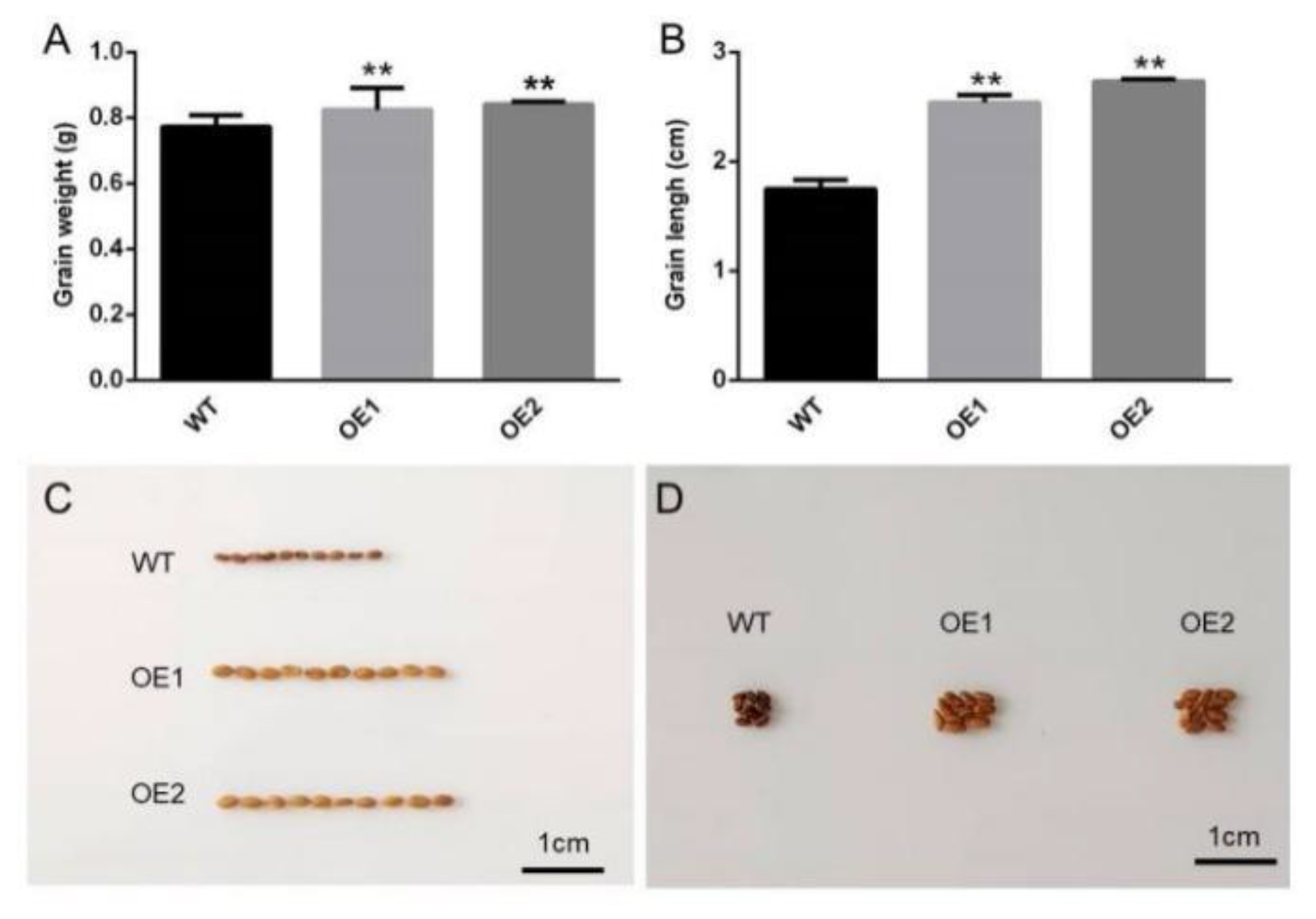 Horticulturae 10 00945 g009