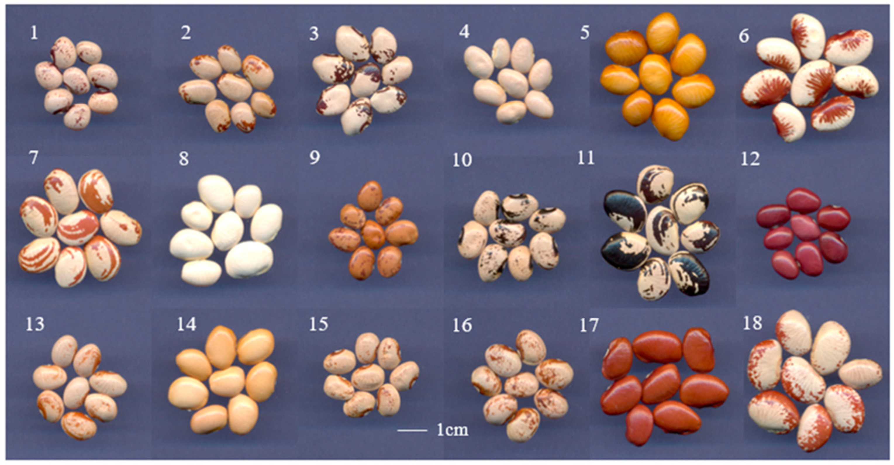 Horticulturae 10 00948 g001