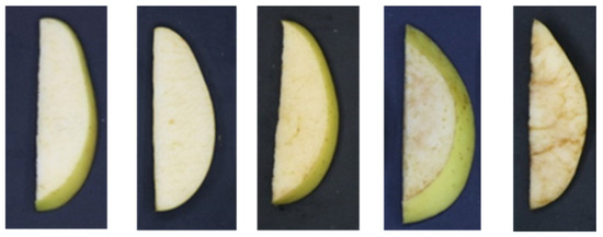 Effect of Cutting Blade Sharpness on Physical and Nutritional Quality ...