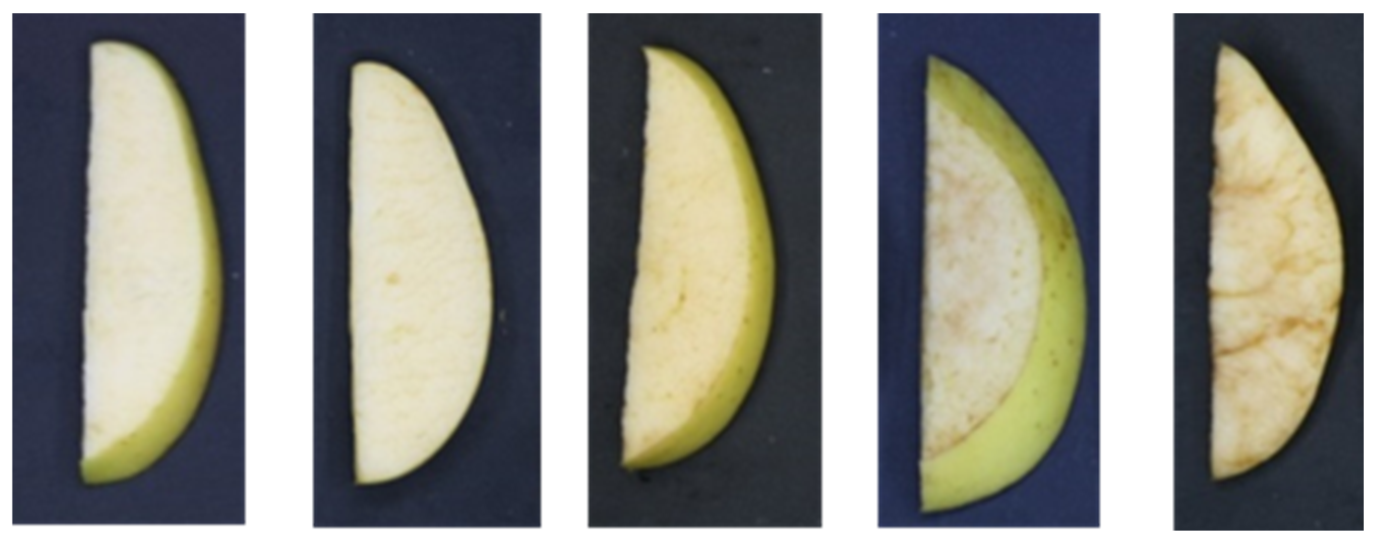 Horticulturae 10 00955 g001