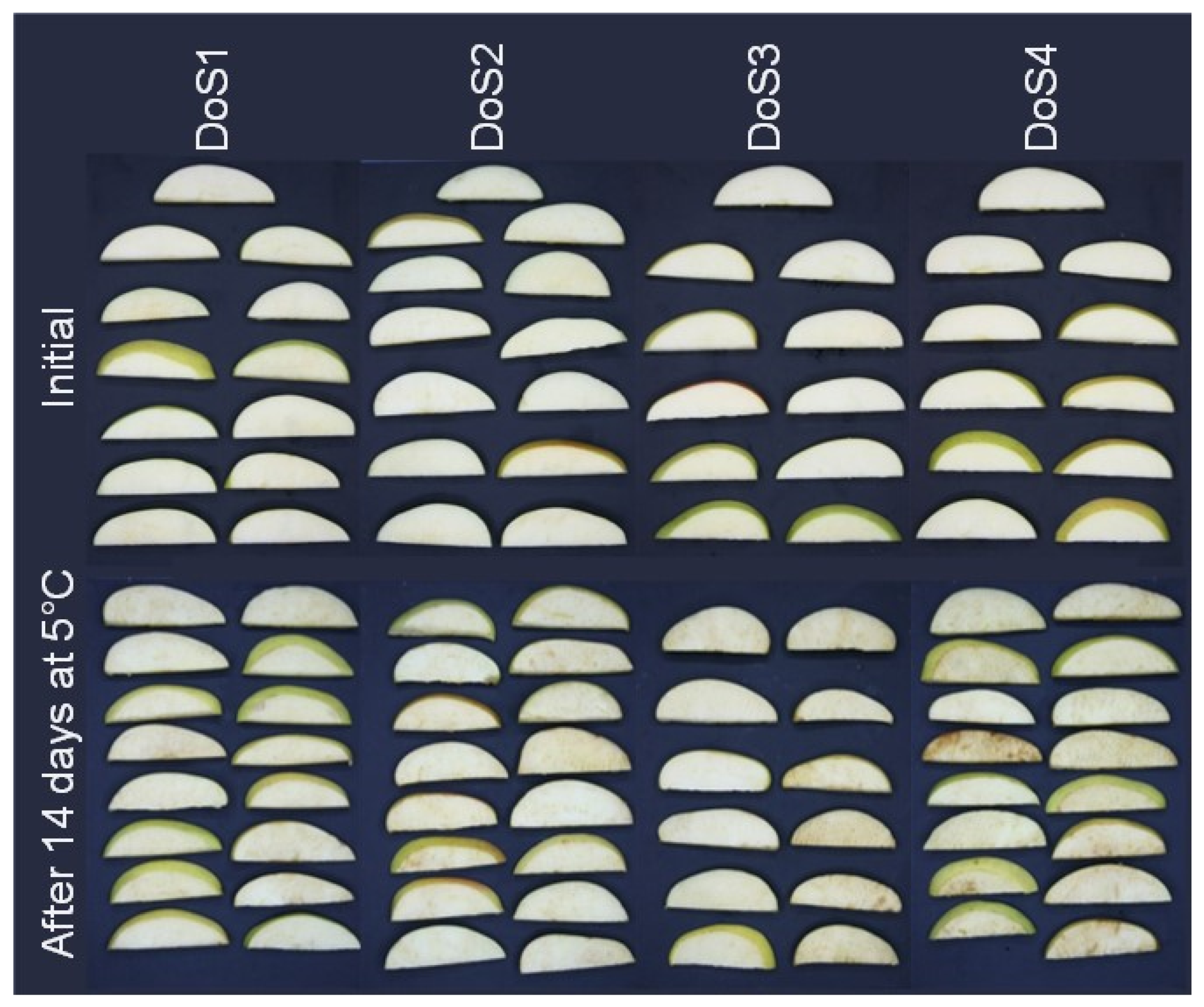 Horticulturae 10 00955 g002