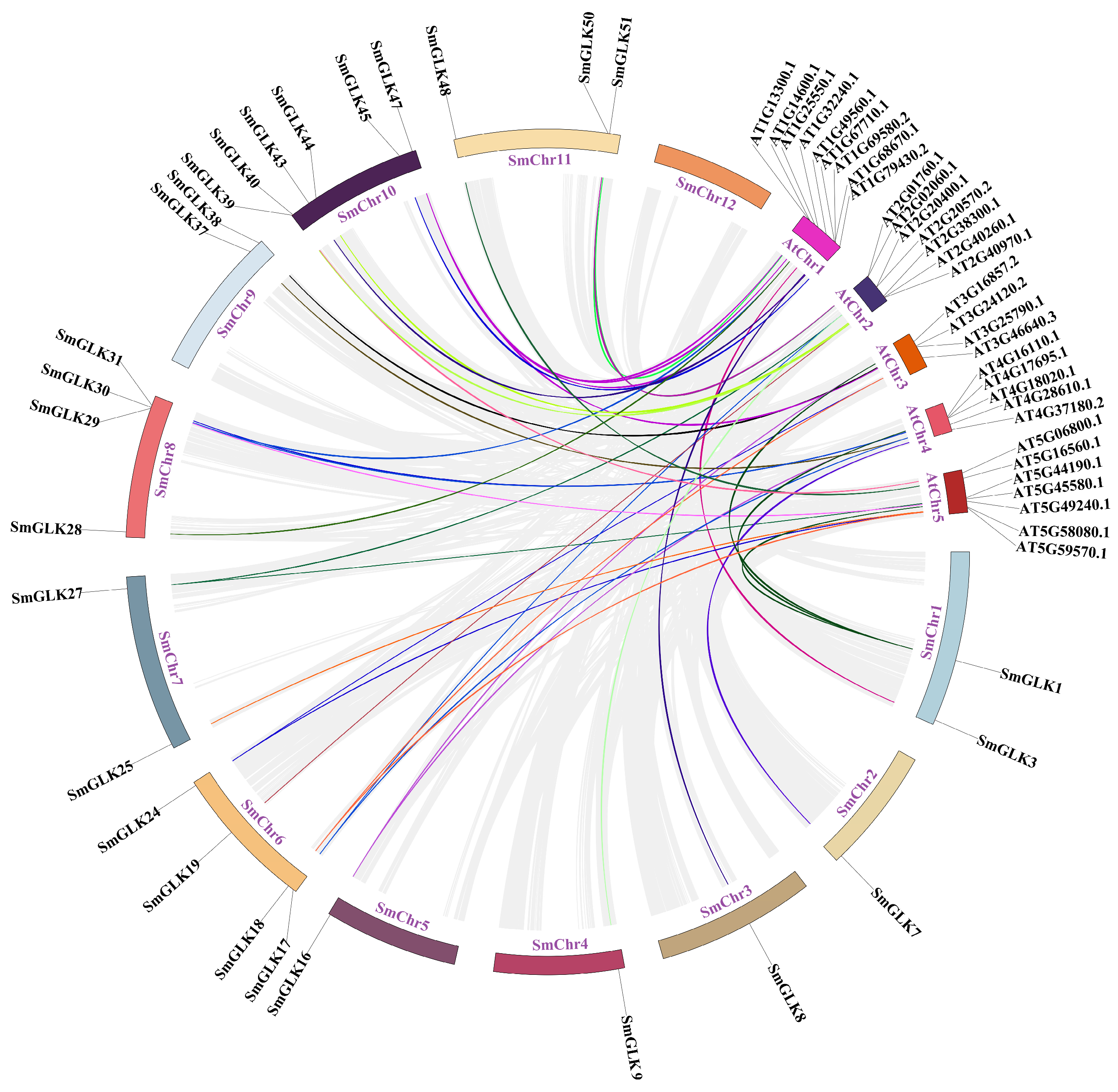 Horticulturae 10 00958 g005